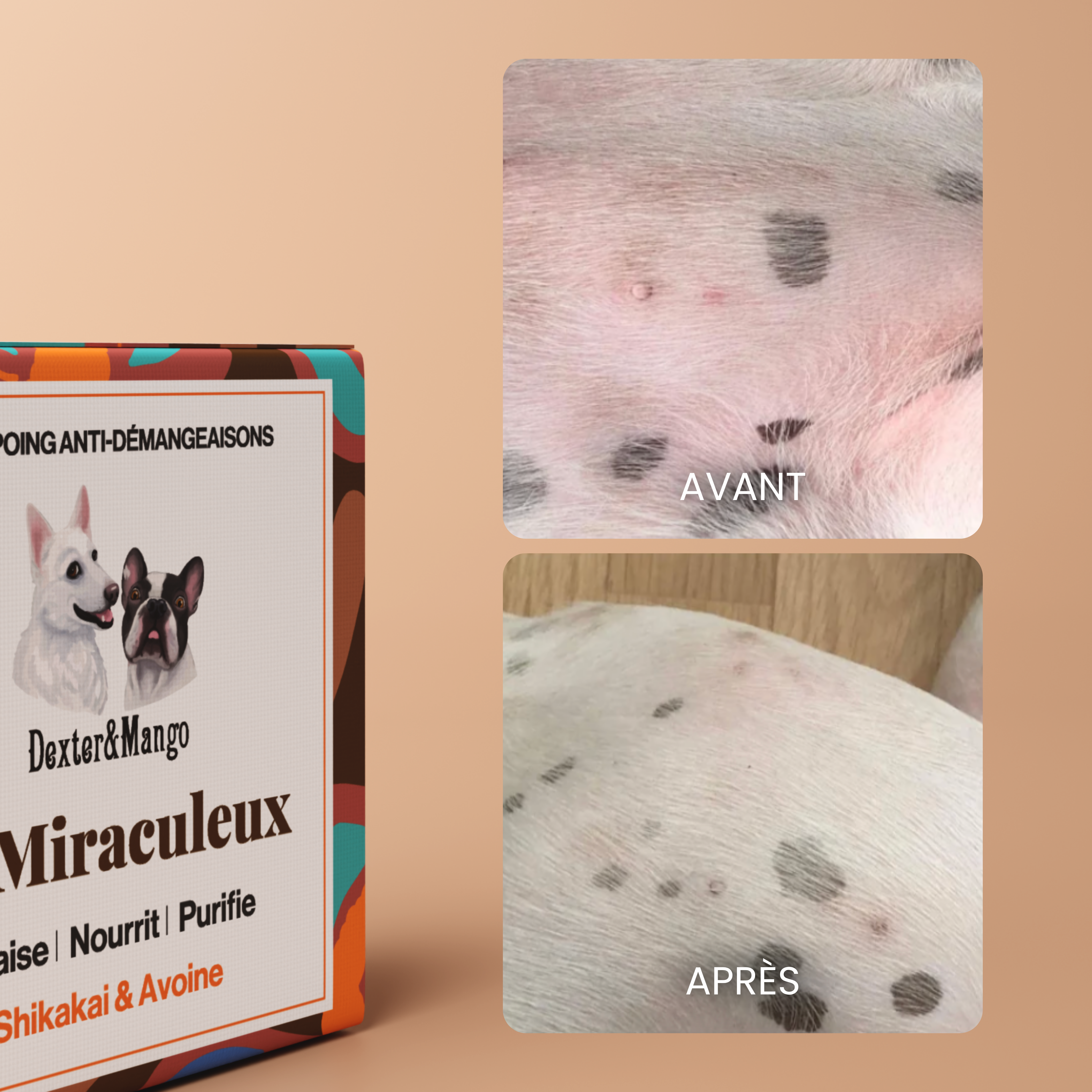 dexter-mango-le-miraculeux-shampoing-solide-chien-peaux-sensibles image 6
