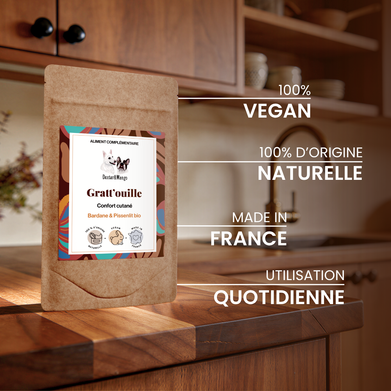 dexter-mango-gratt-ouille-compl-ment-chien-confort-cutan-plantes image 5