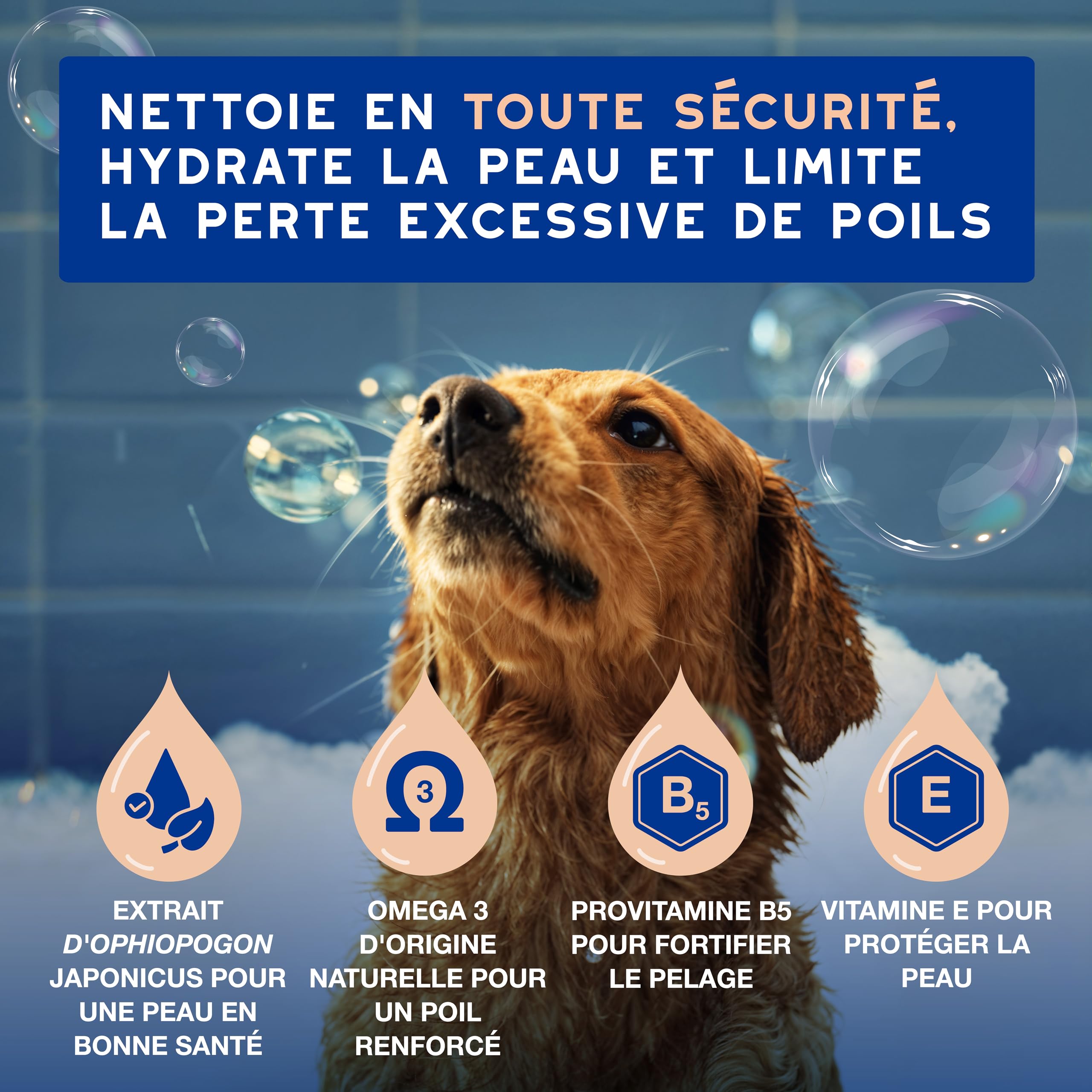 douxo-spa-skin-coat-shampoing-chien-anti-chute-poils image 2