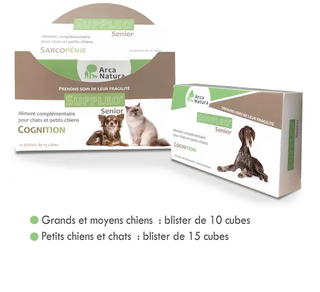 arcanatura-suppleo-senior-cognition-compl-ment-chien-g-m-moire image 1