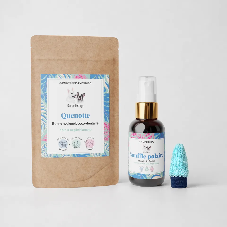 dexter-mango-routine-dentaire-haleine-fra-che-chien image 1