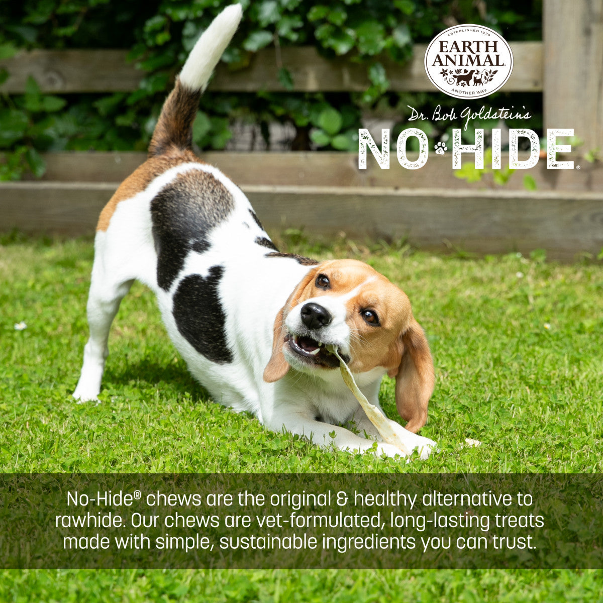 earth-animal-no-hide-saumon-strips-friandise-chien-s-lot-4 image 4