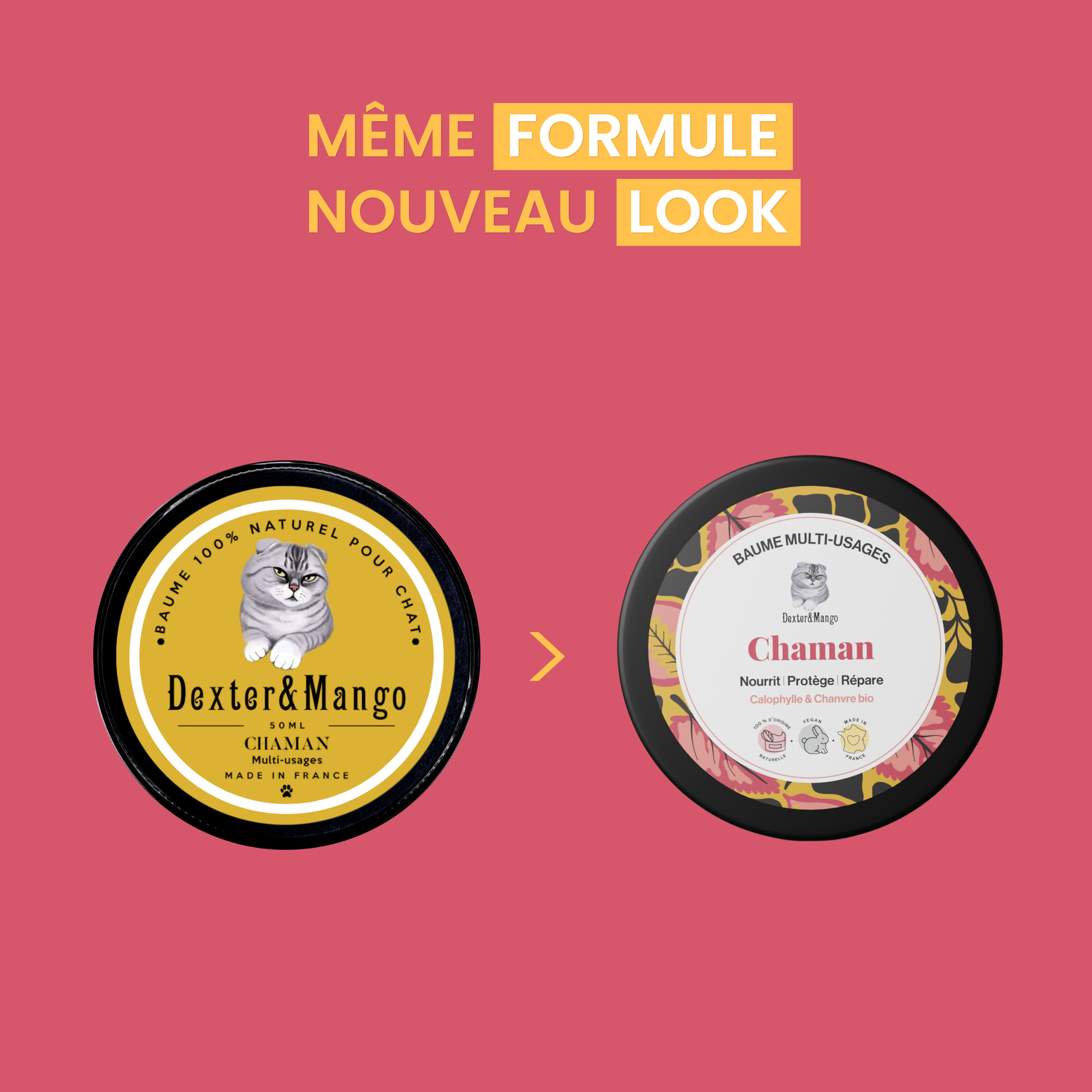 dexter-mango-chaman-baume-chat-naturel-irritations image 7