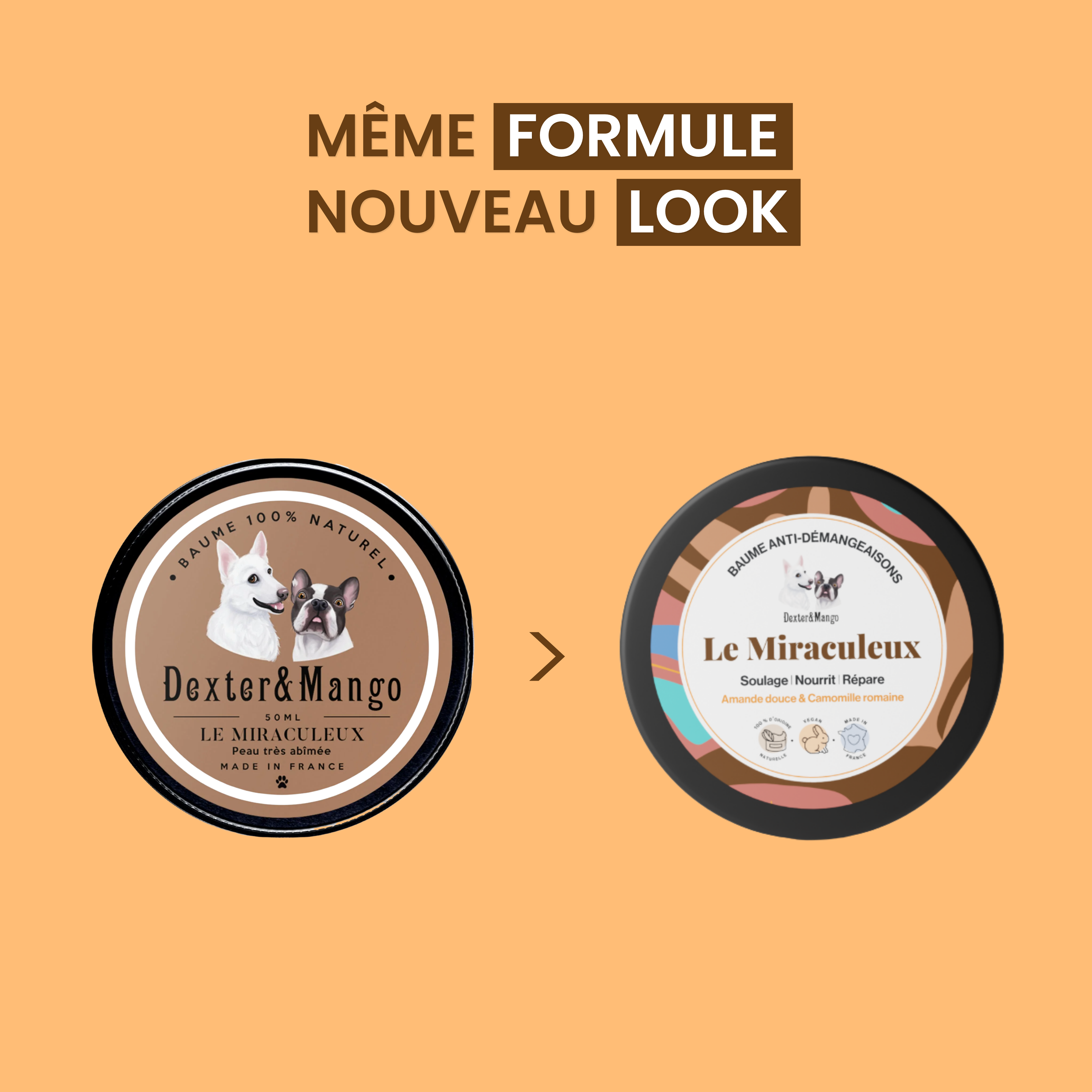 dexter-mango-le-miraculeux-baume-chien-zones-s-ches image 7
