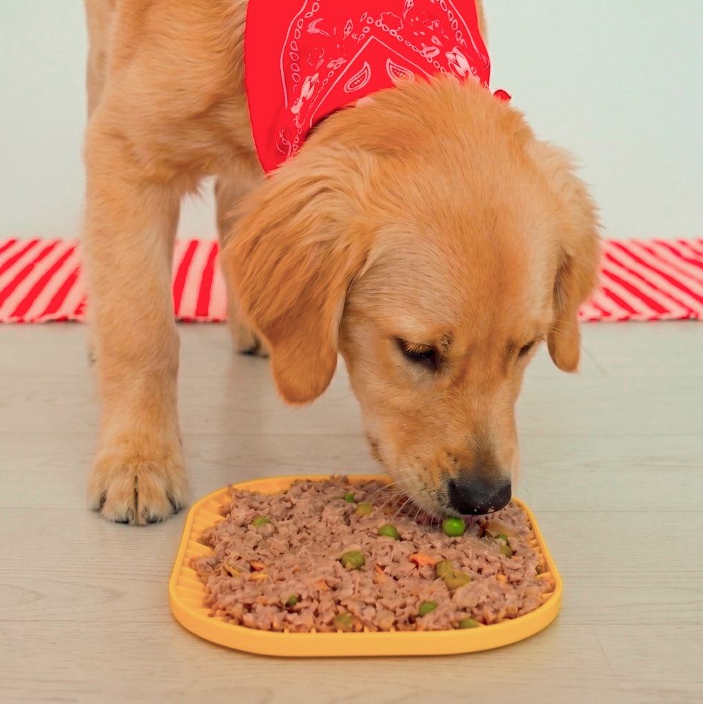 dog-heroes-crunchy-bites-lick-mat-tapis-l-cher-19x19-cm-antid-rapant image 3