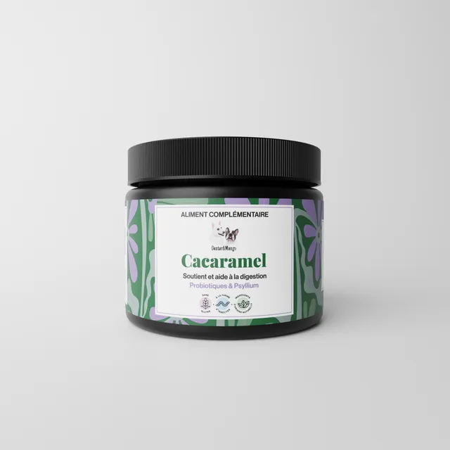 dexter-mango-cacaramel-friandise-digestion-chien-insectes image 1