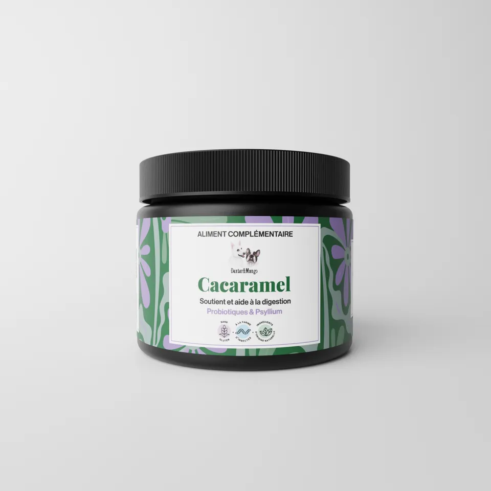 dexter-mango-cacaramel-friandise-digestion-chien-insectes image 1