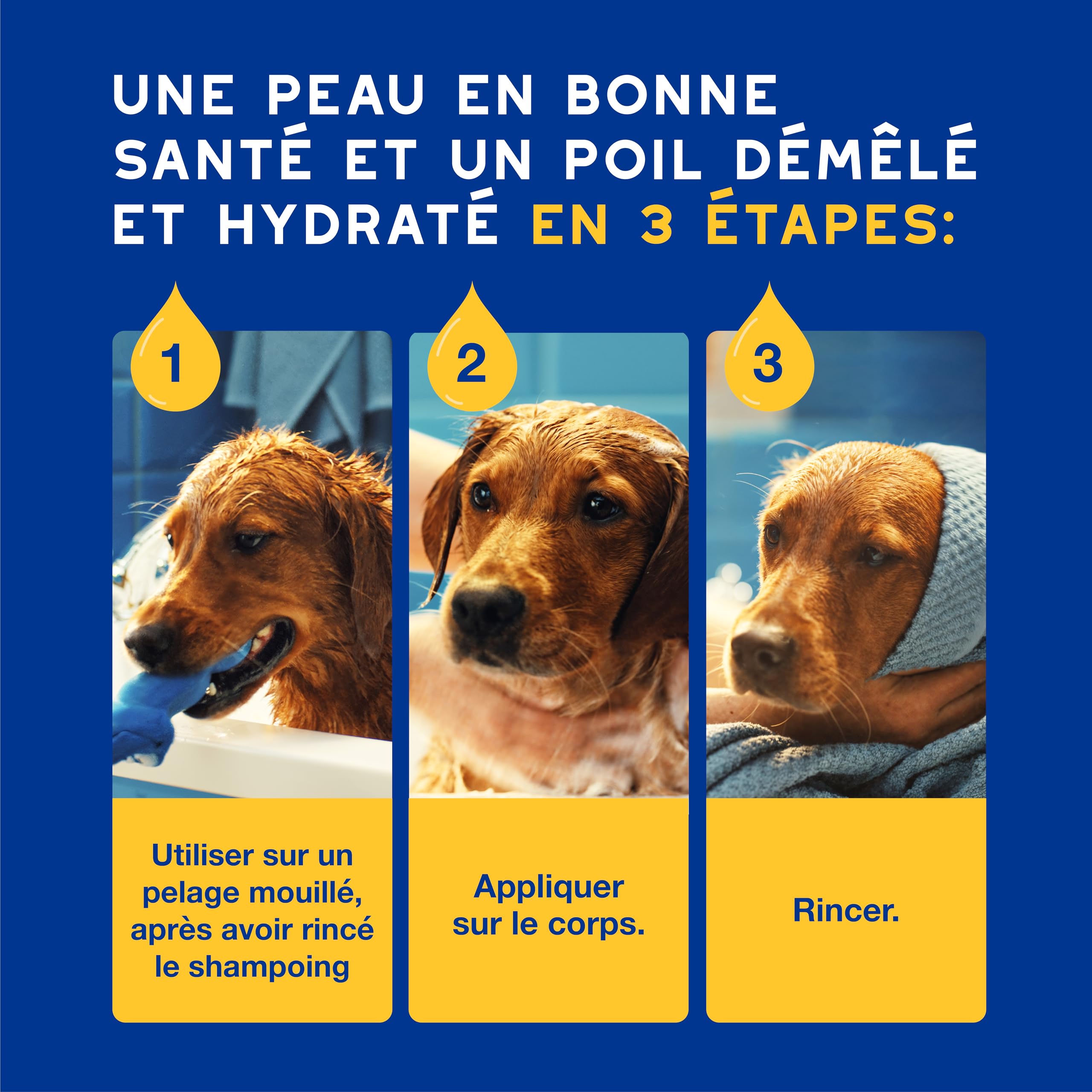 douxo-spa-skin-coat-apr-s-shampoing-chien-avoine image 6