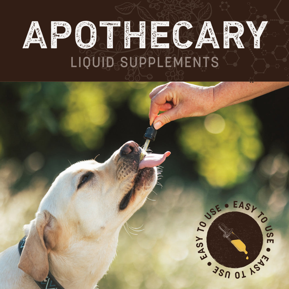 earth-animal-apothecary-gouttes-urinaires-chien-chat-60ml image 2