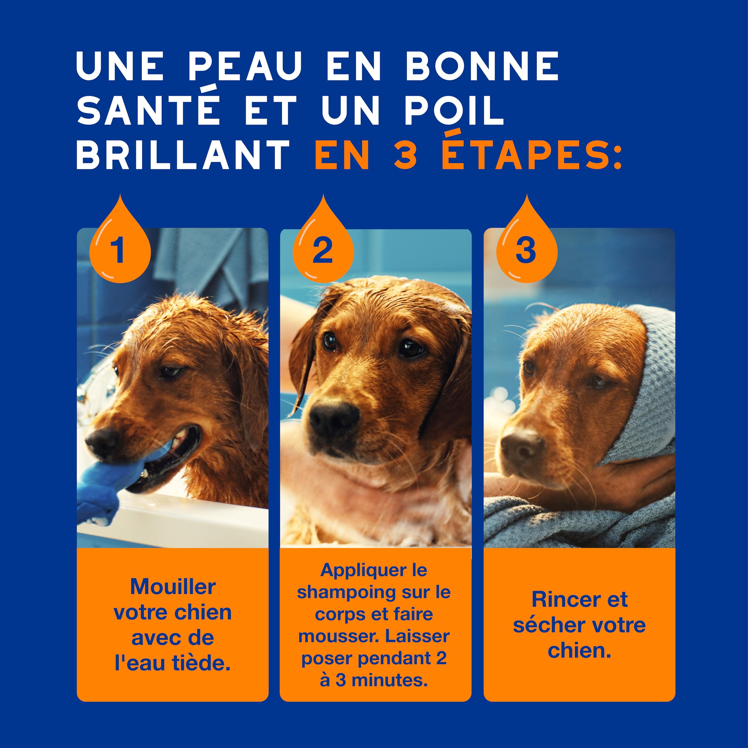 douxo-spa-skin-coat-spa-shampoing-chien-2-en-1-amande-douce image 6