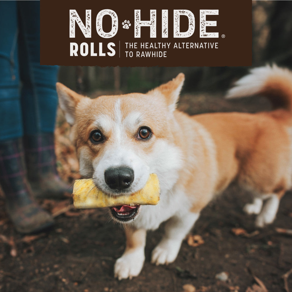 earth-animal-no-hide-pumpkin-spice-rolls-friandise-s-citrouille image 6