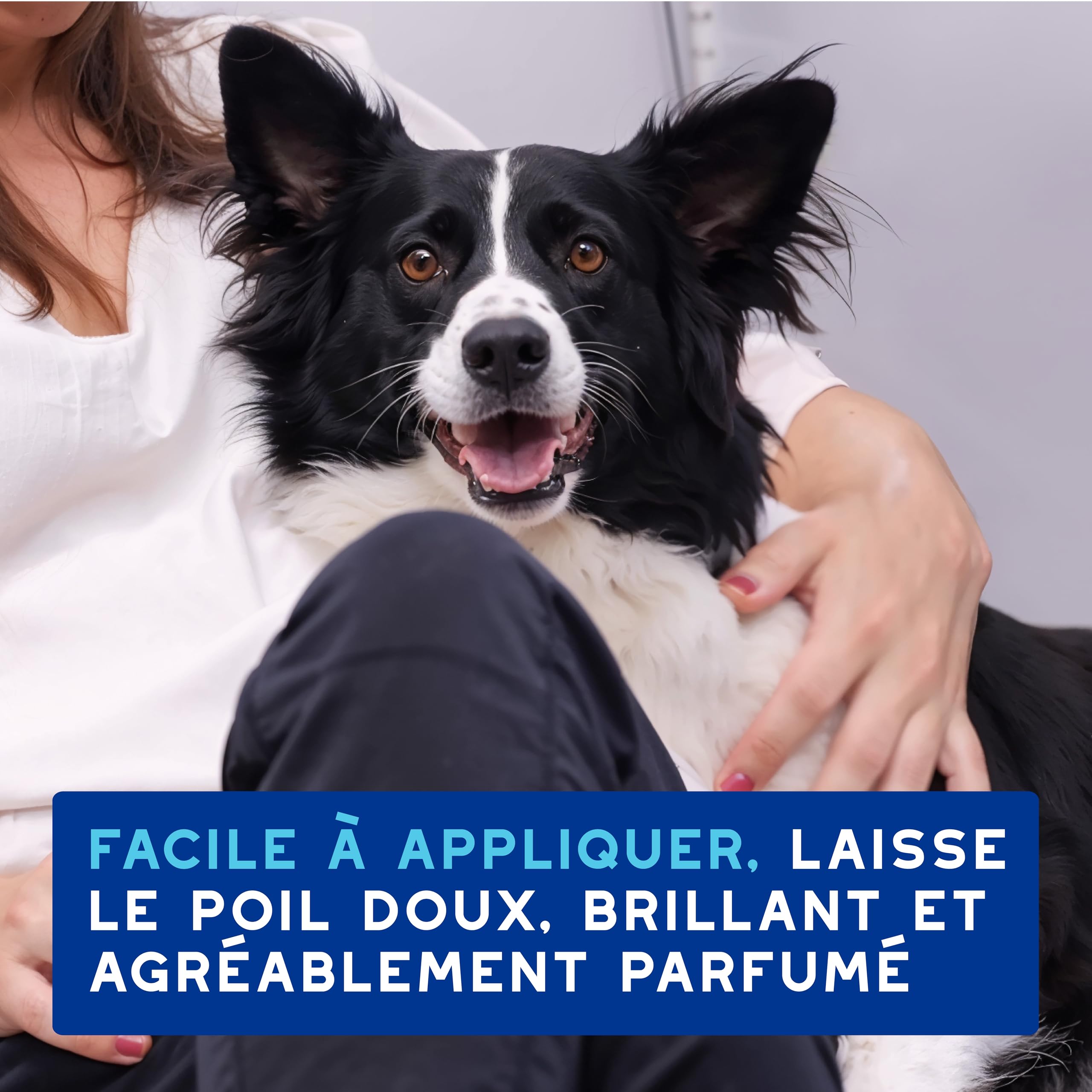 douxo-spa-skin-coat-mousse-sans-rin-age-chien image 7