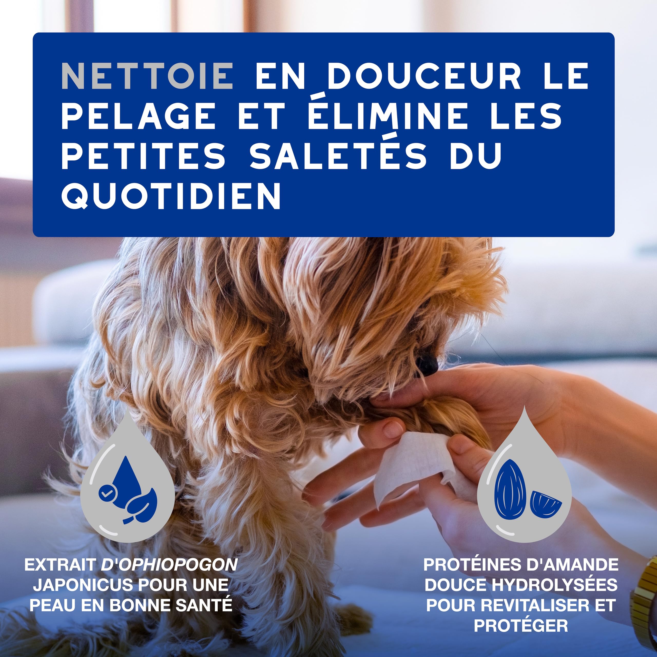 douxo-spa-lingettes-chien-chat-amande-douce-hypoallerg-niques image 2