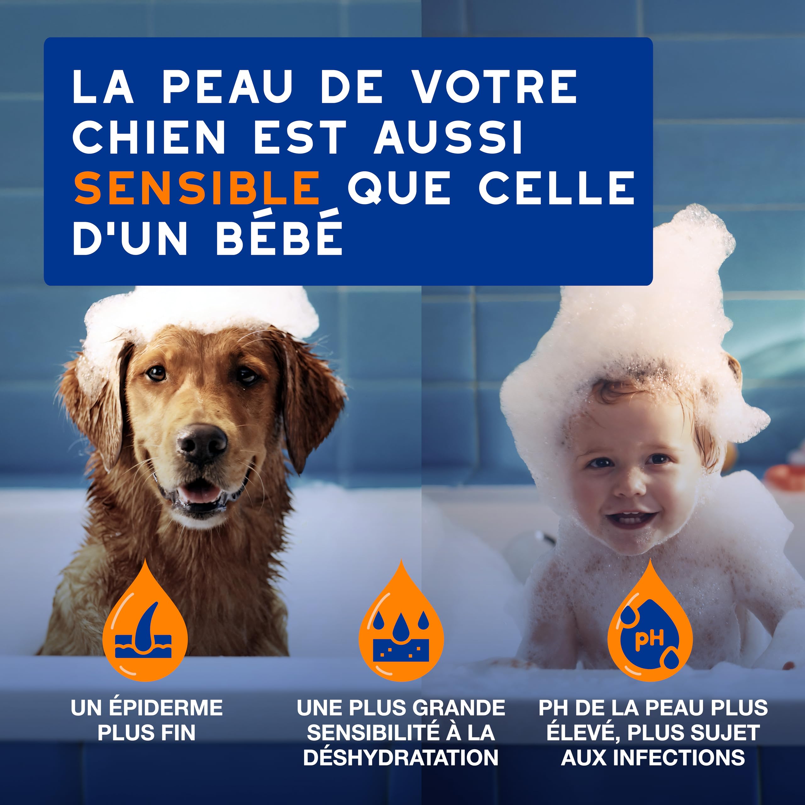 douxo-spa-skin-coat-spa-shampoing-chien-2-en-1-amande-douce image 3