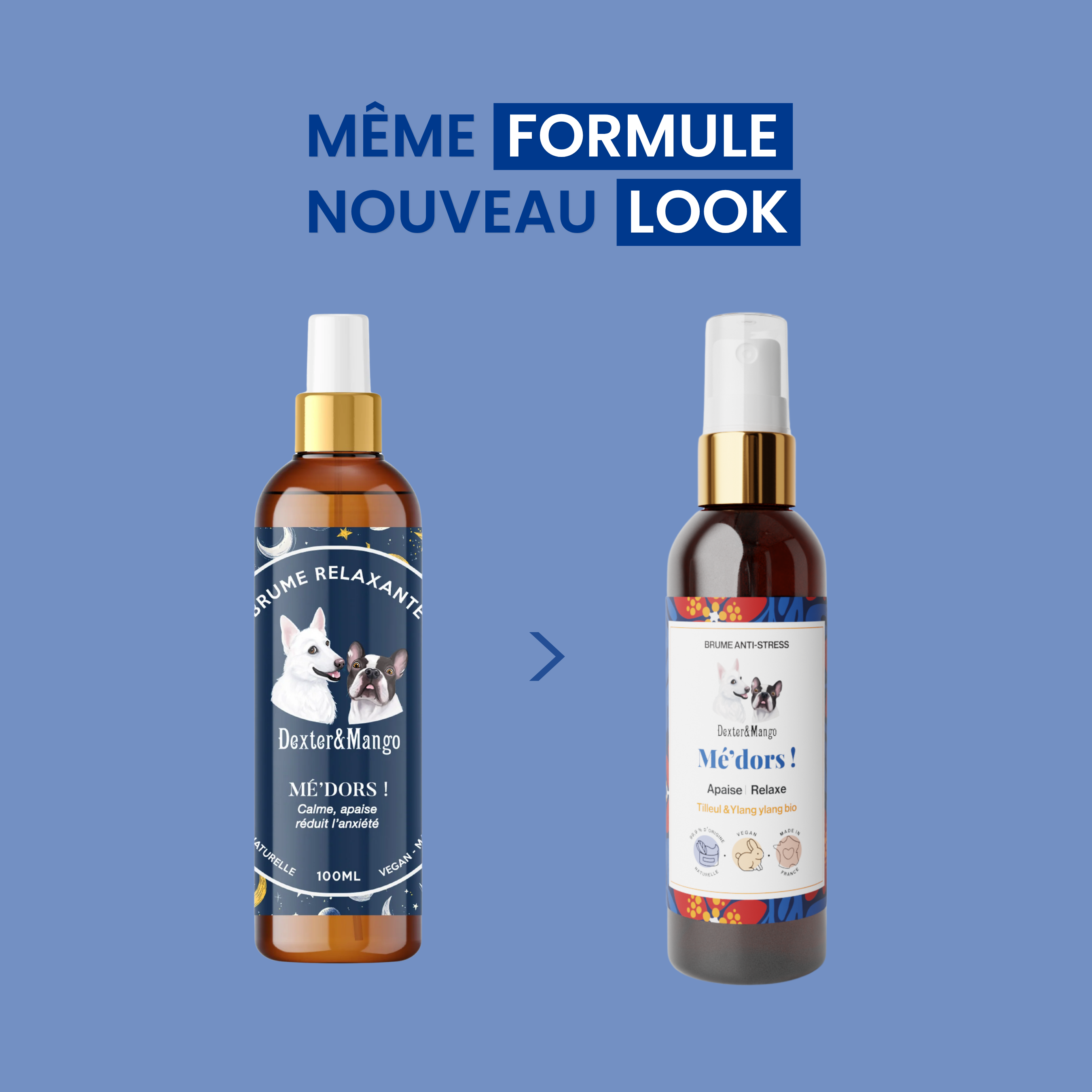 dexter-mango-m-dors-brume-s-r-nit-chien-stress image 6