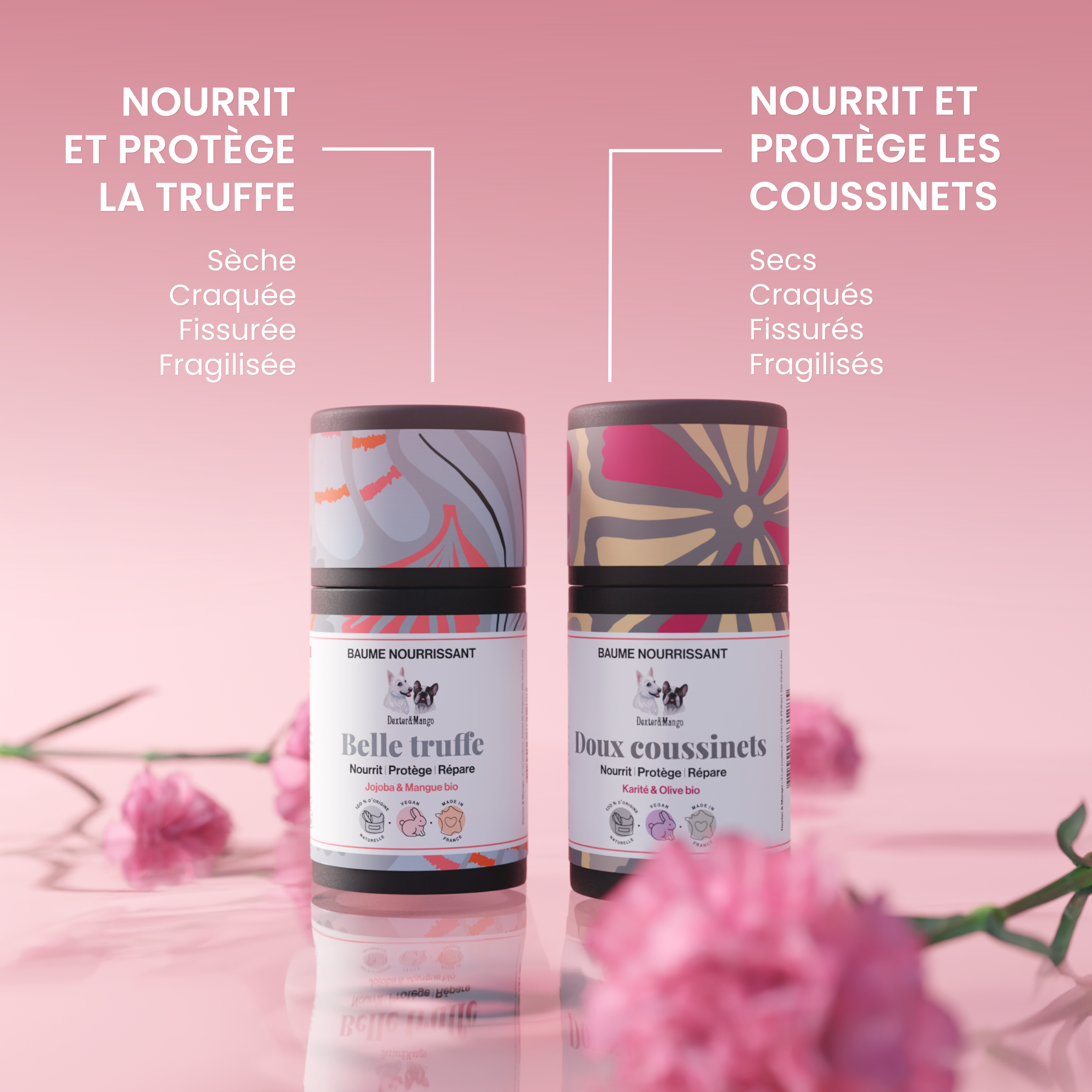 dexter-mango-duo-sticks-doux-coussinets-belle-truffe-baume image 2