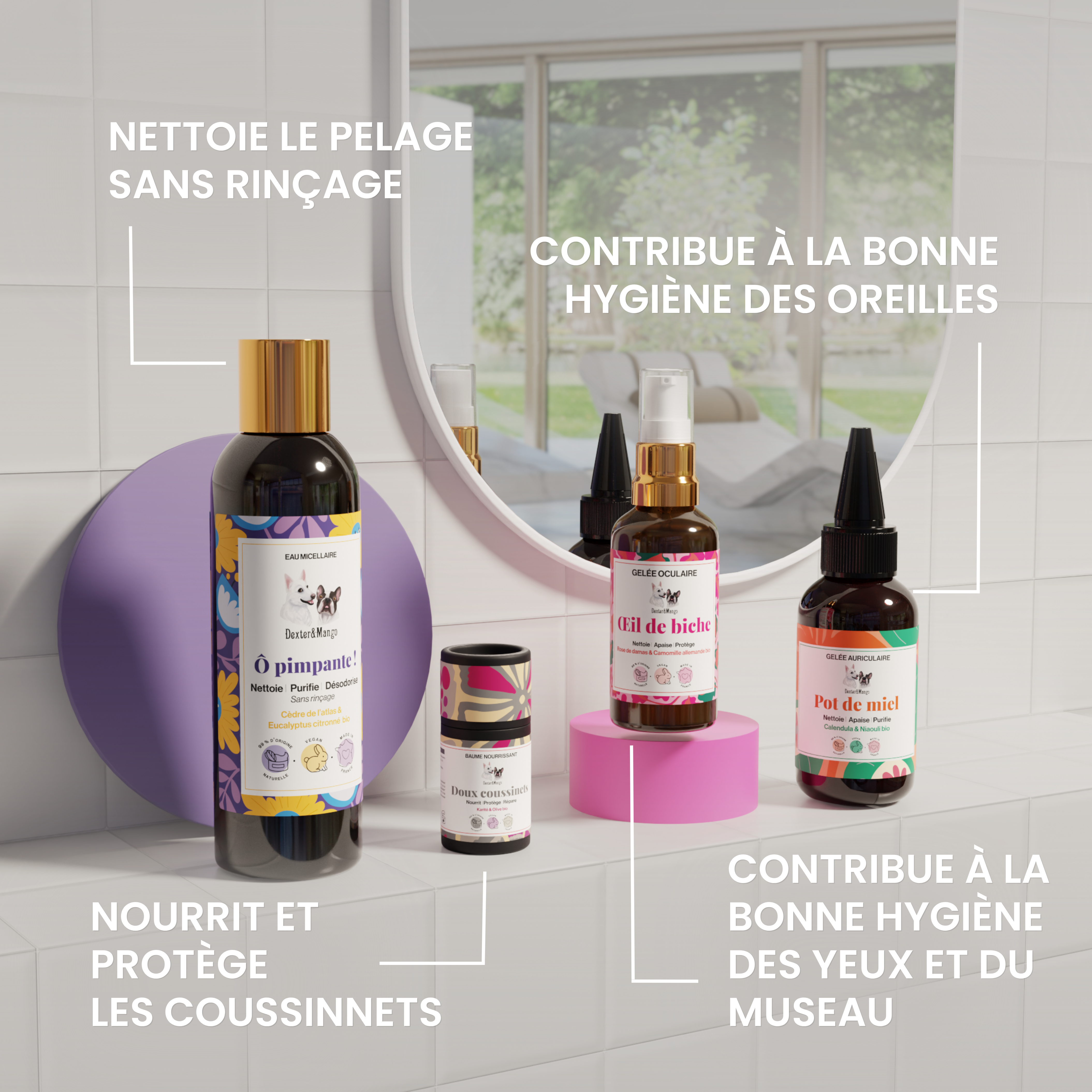 dexter-mango-trousse-indispensable-chien-kit-5-soins-naturel image 2