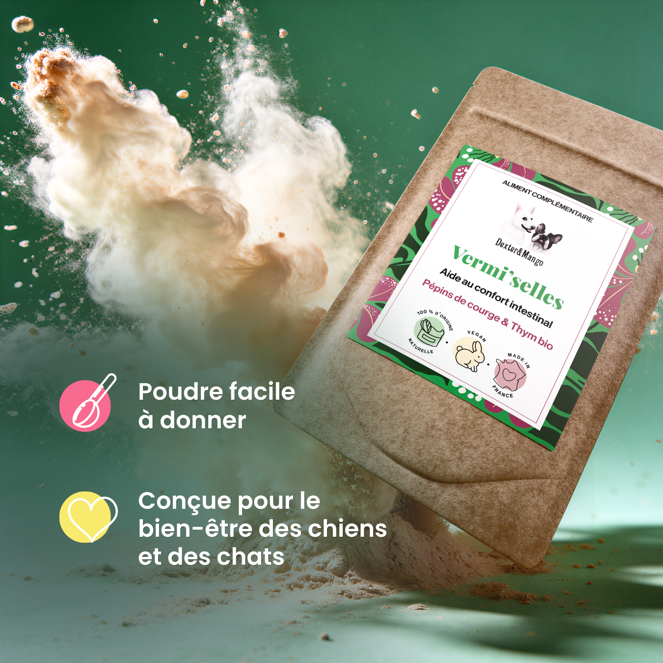 dexter-mango-vermi-selles-compl-ment-digestif-chien-chat-ail-thym image 4