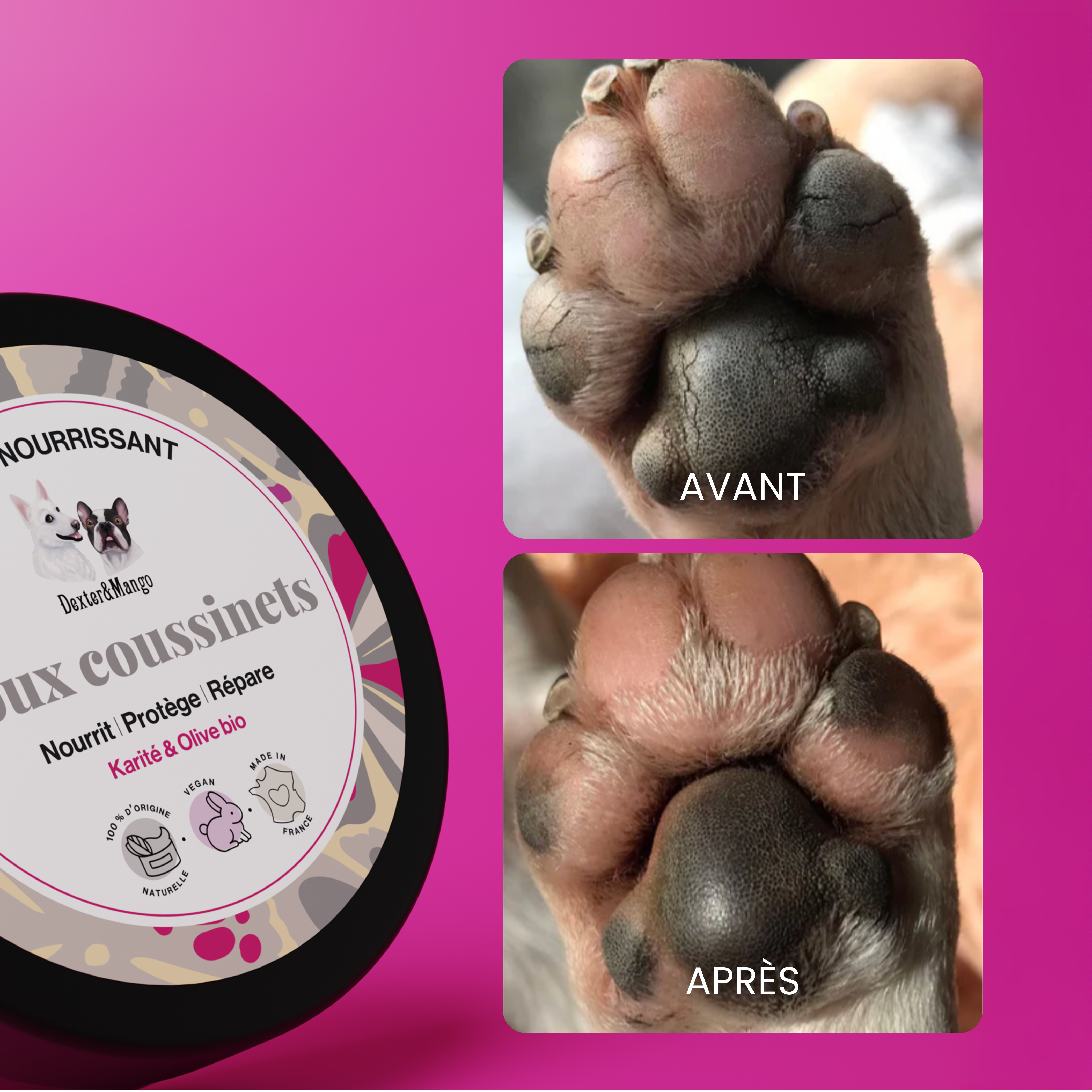 dexter-mango-doux-coussinets-baume-pattes-chien-naturel image 6