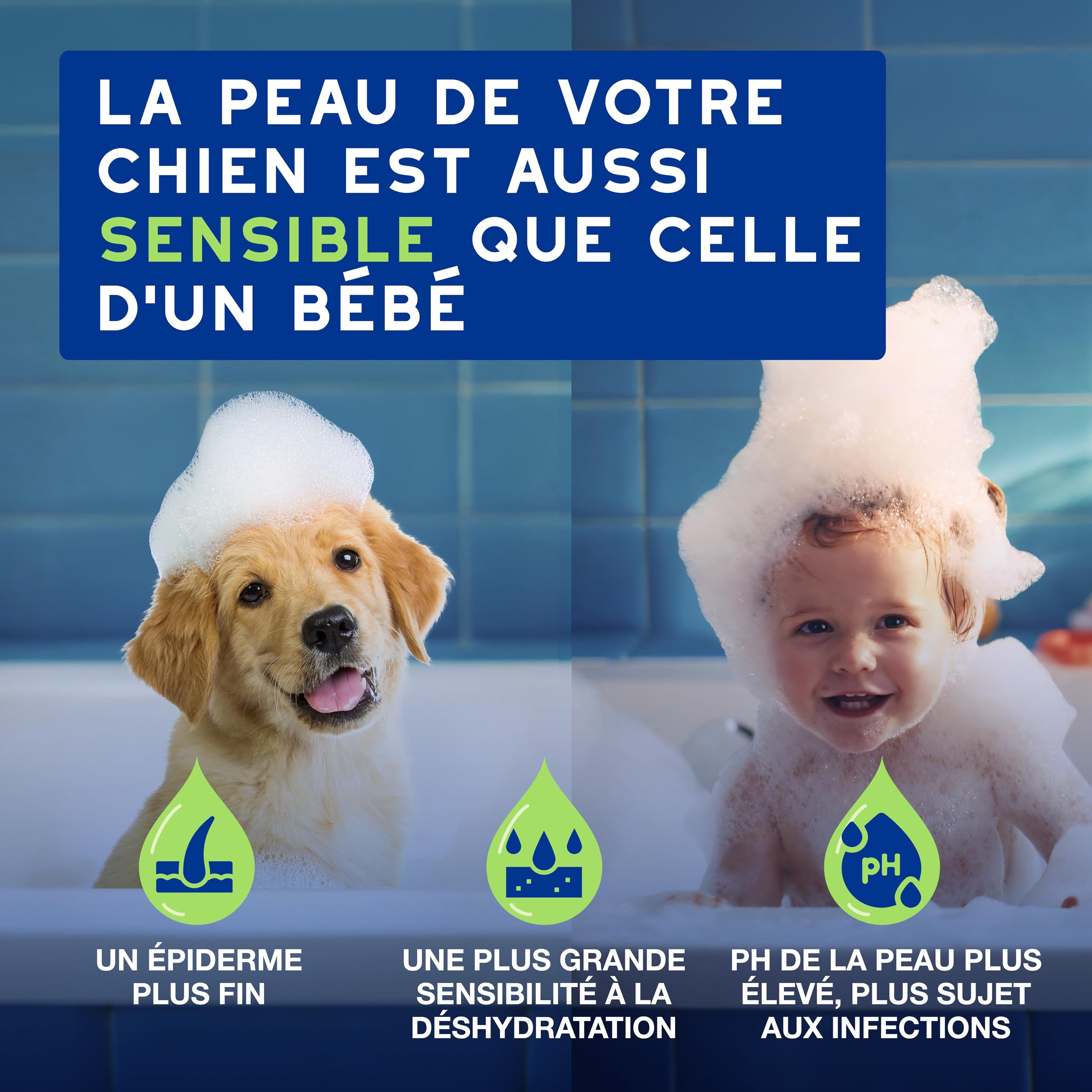 douxo-spa-skin-coat-spa-shampoing-chiot-hypoallerg-nique-pr-biotique image 3