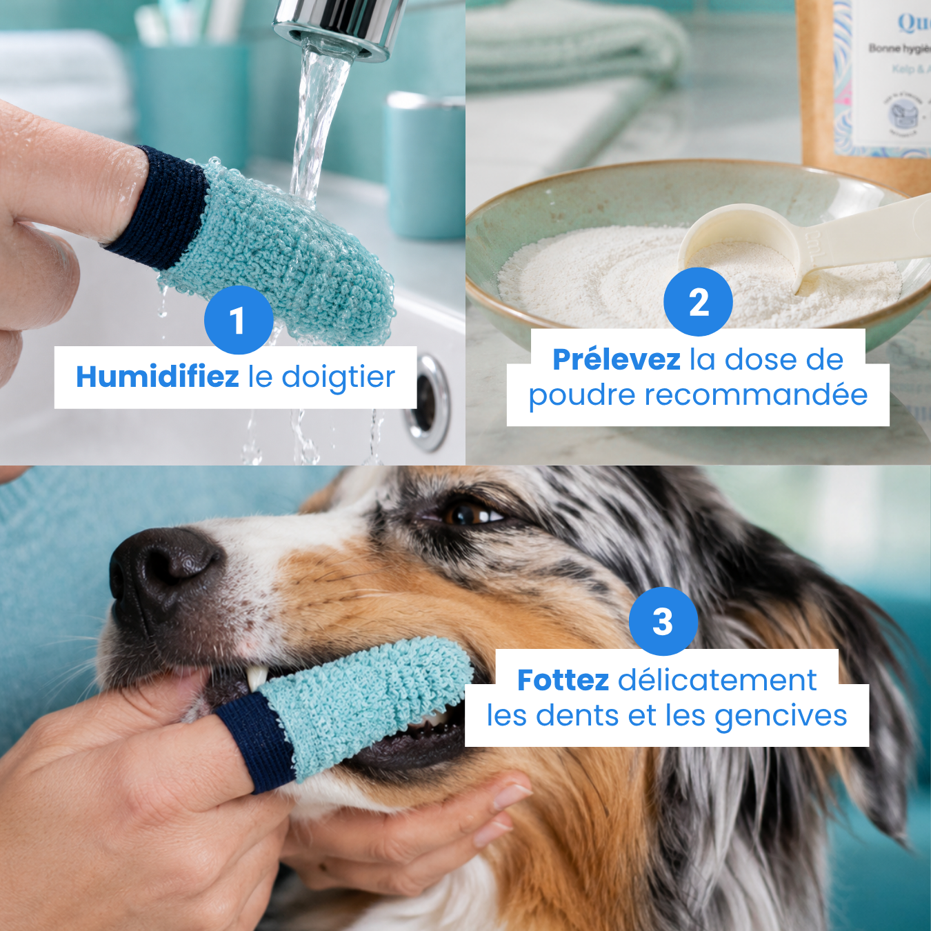 dexter-mango-brosse-dents-doigtier-chien-chat-antibact-rienne image 4
