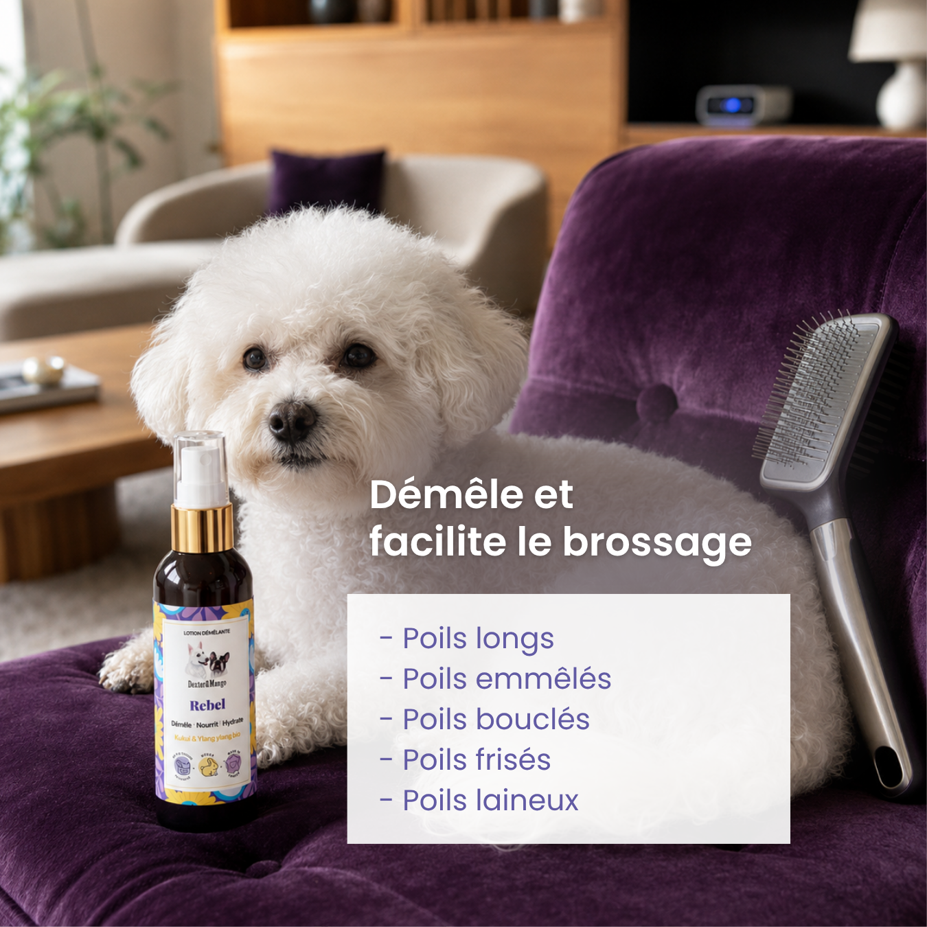 dexter-mango-rebel-lotion-chien-d-m-lante-poils-longs image 2