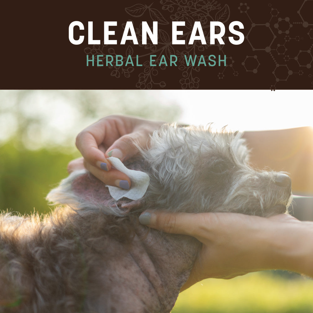 earth-animal-apothecary-clean-ears-nettoyant-oreilles-chien-4-oz image 2