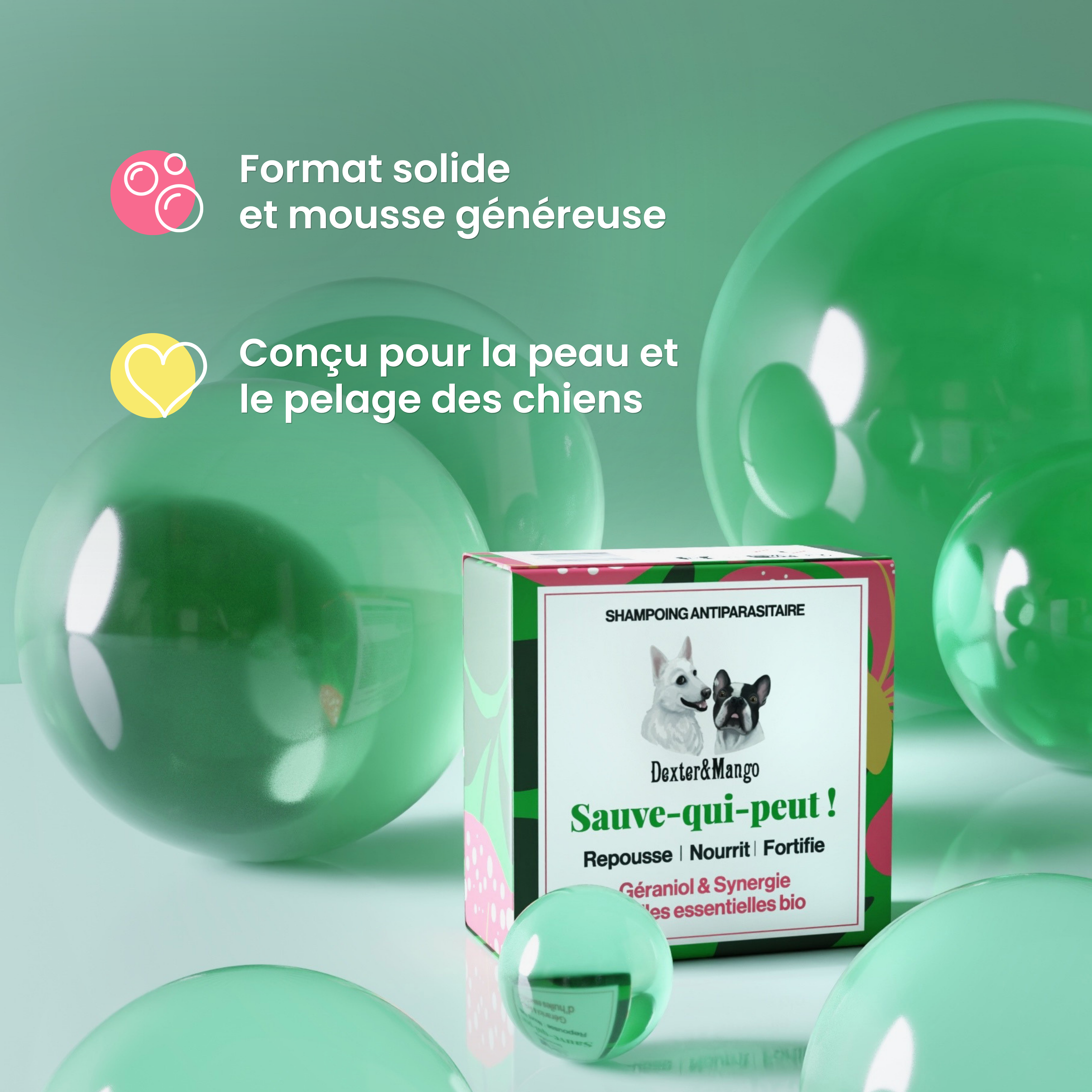 dexter-mango-sauve-qui-peut-shampoing-antiparasitaire-chien image 4