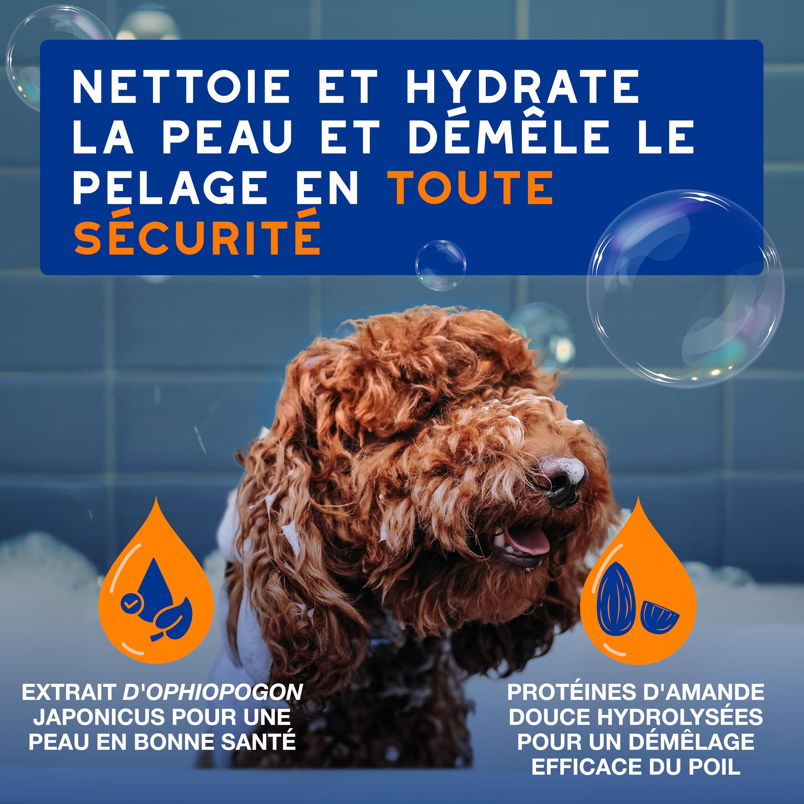 douxo-spa-skin-coat-spa-shampoing-chien-2-en-1-amande-douce image 2