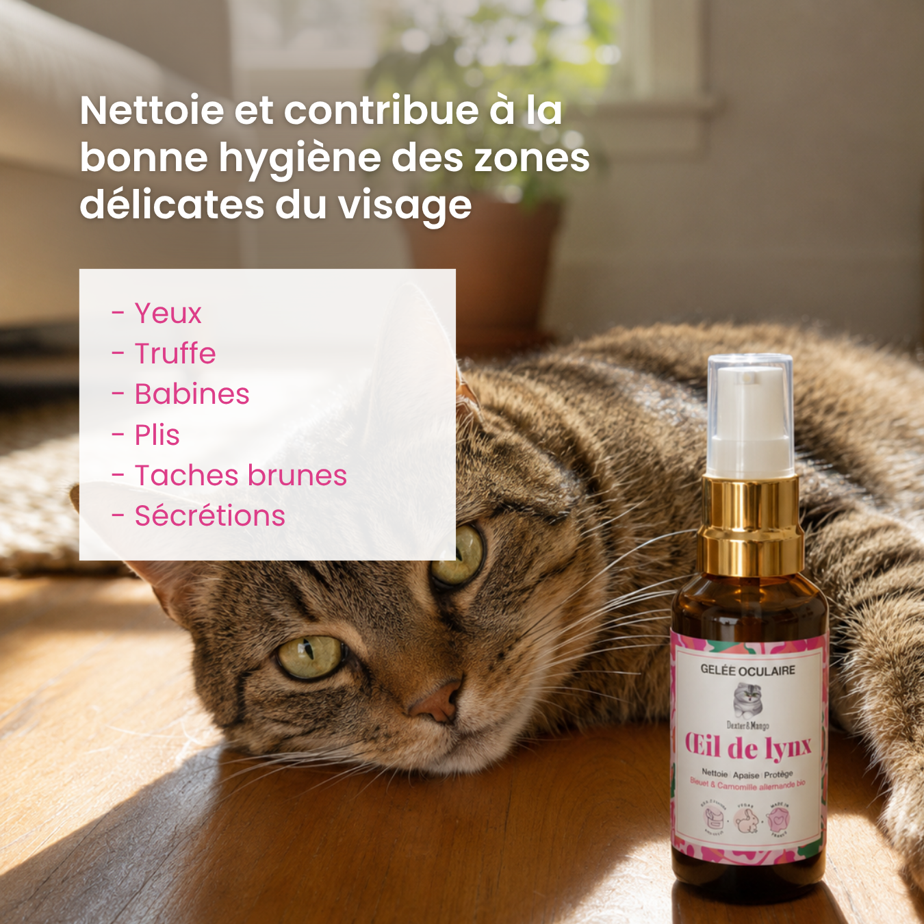 dexter-mango-il-de-lynx-gel-e-oculaire-chat-naturelle image 2