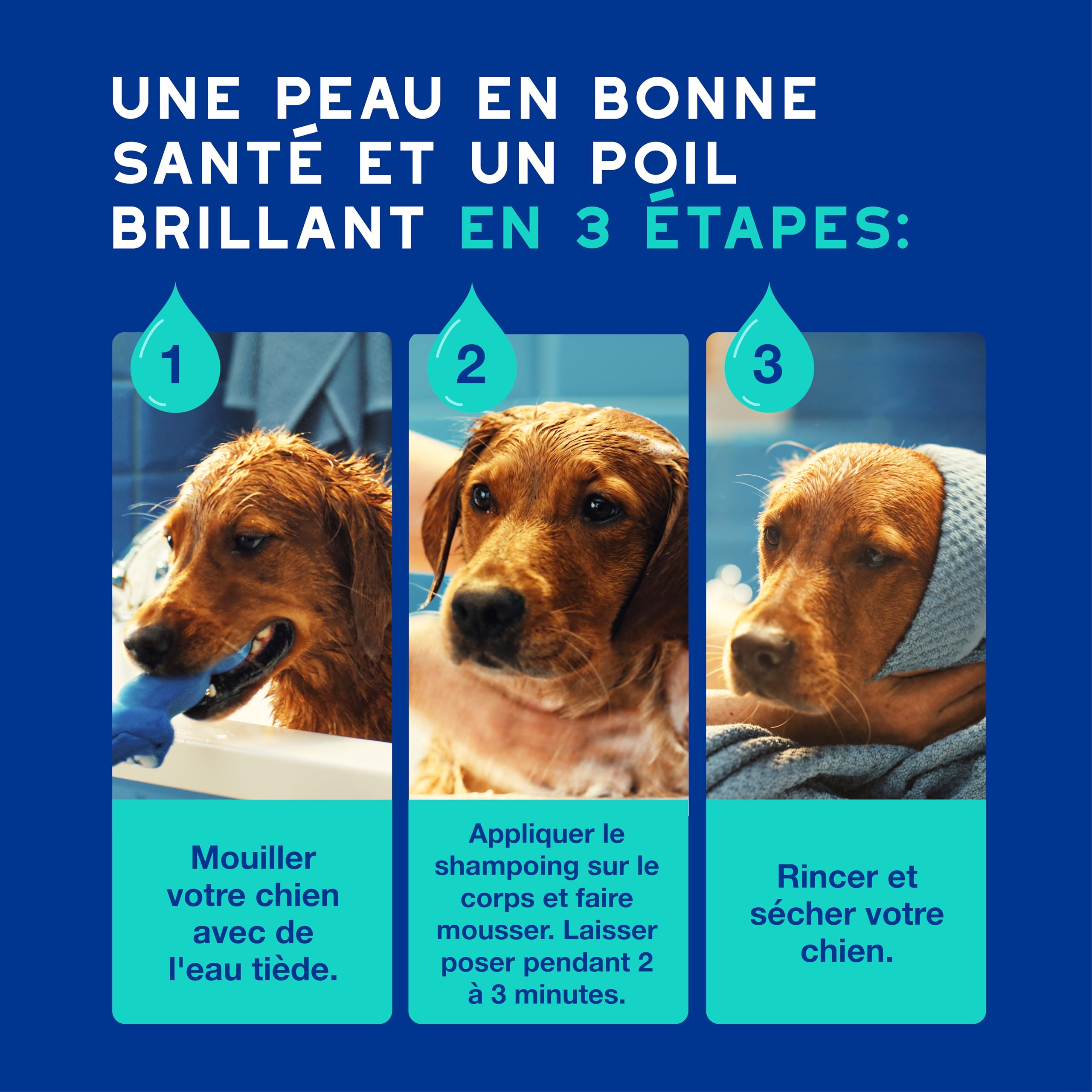 douxo-spa-skin-coat-shampooing-anti-odeurs-chien-coco-vanille image 6