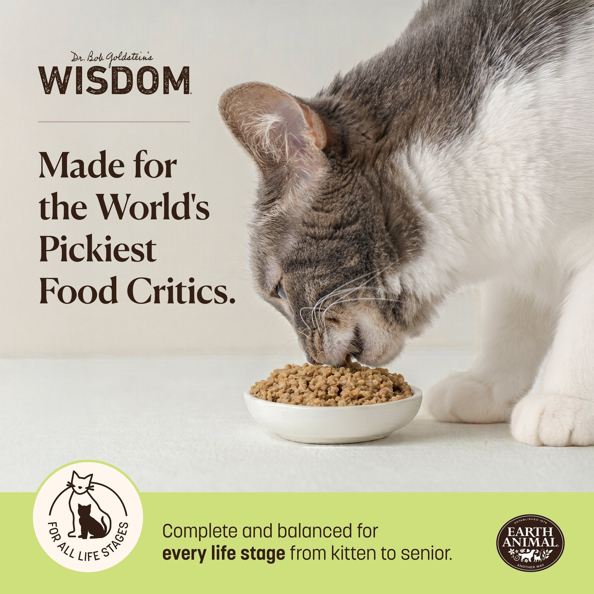 earth-animal-wisdom-p-t-e-chat-saumon-156-g-monoprot-ine image 5