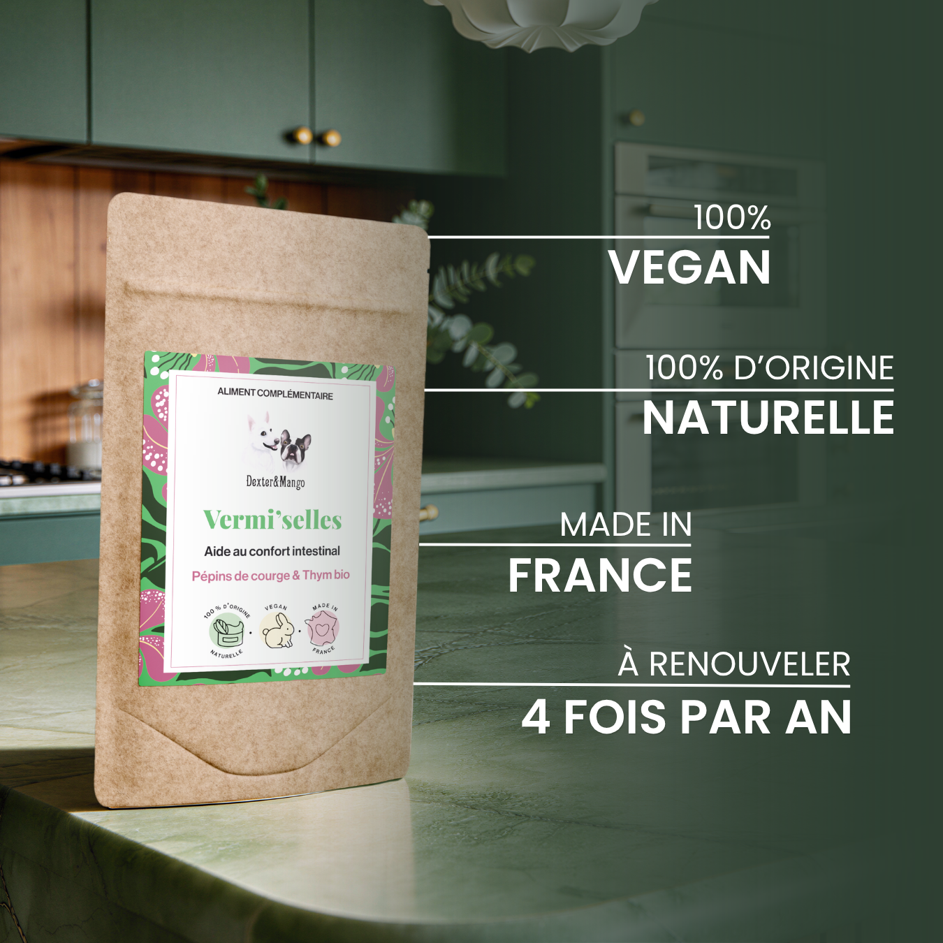 dexter-mango-vermi-selles-compl-ment-digestif-chien-chat-ail-thym image 5