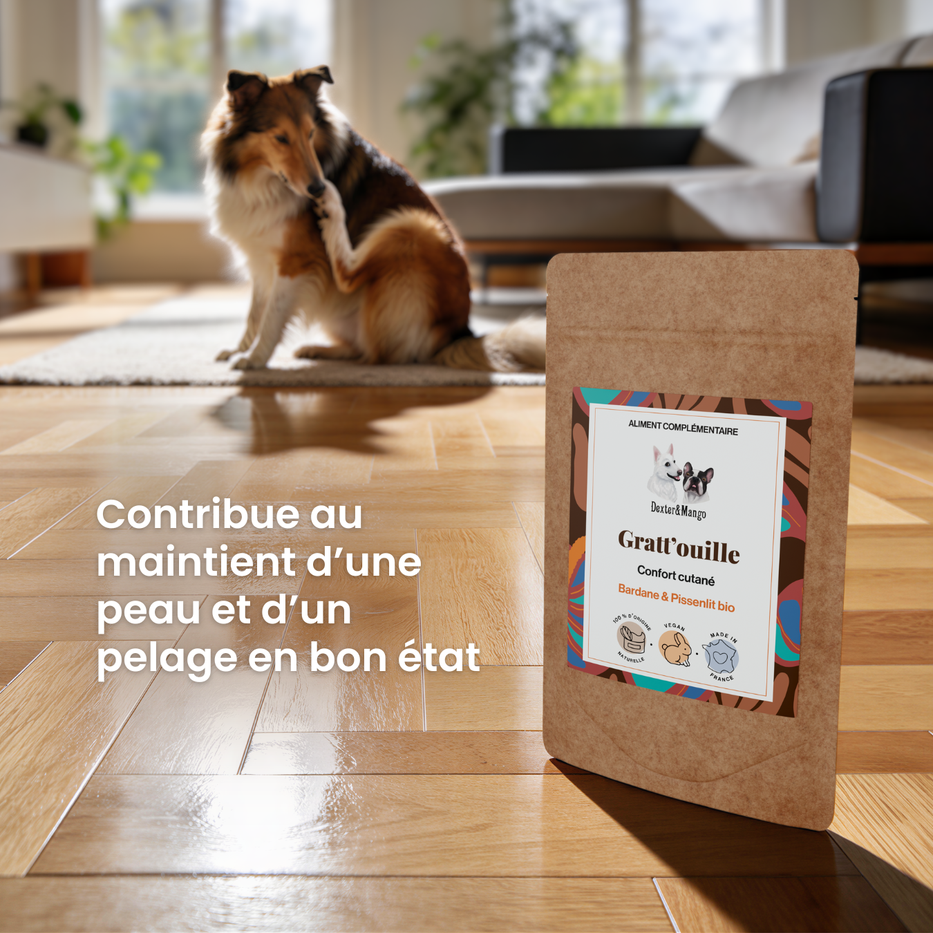 dexter-mango-gratt-ouille-compl-ment-chien-confort-cutan-plantes image 2