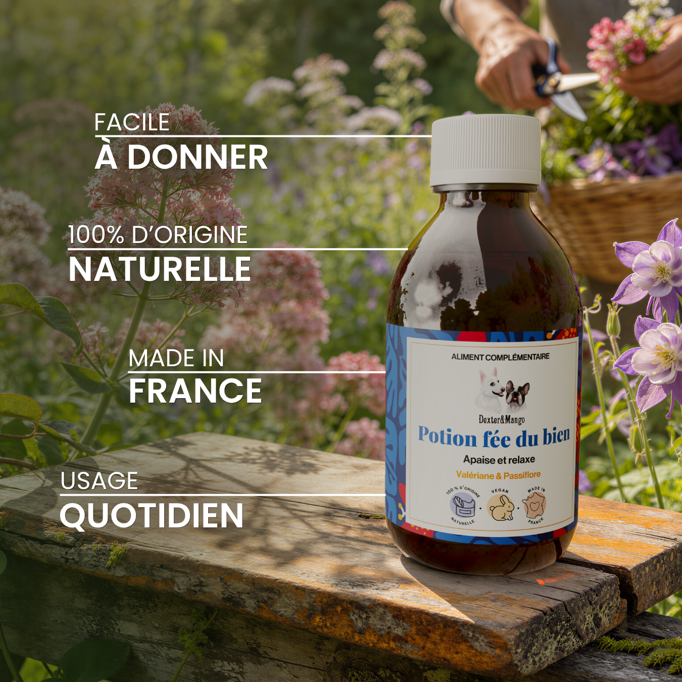dexter-mango-potion-f-e-du-bien-compl-ment-stress-chien image 5