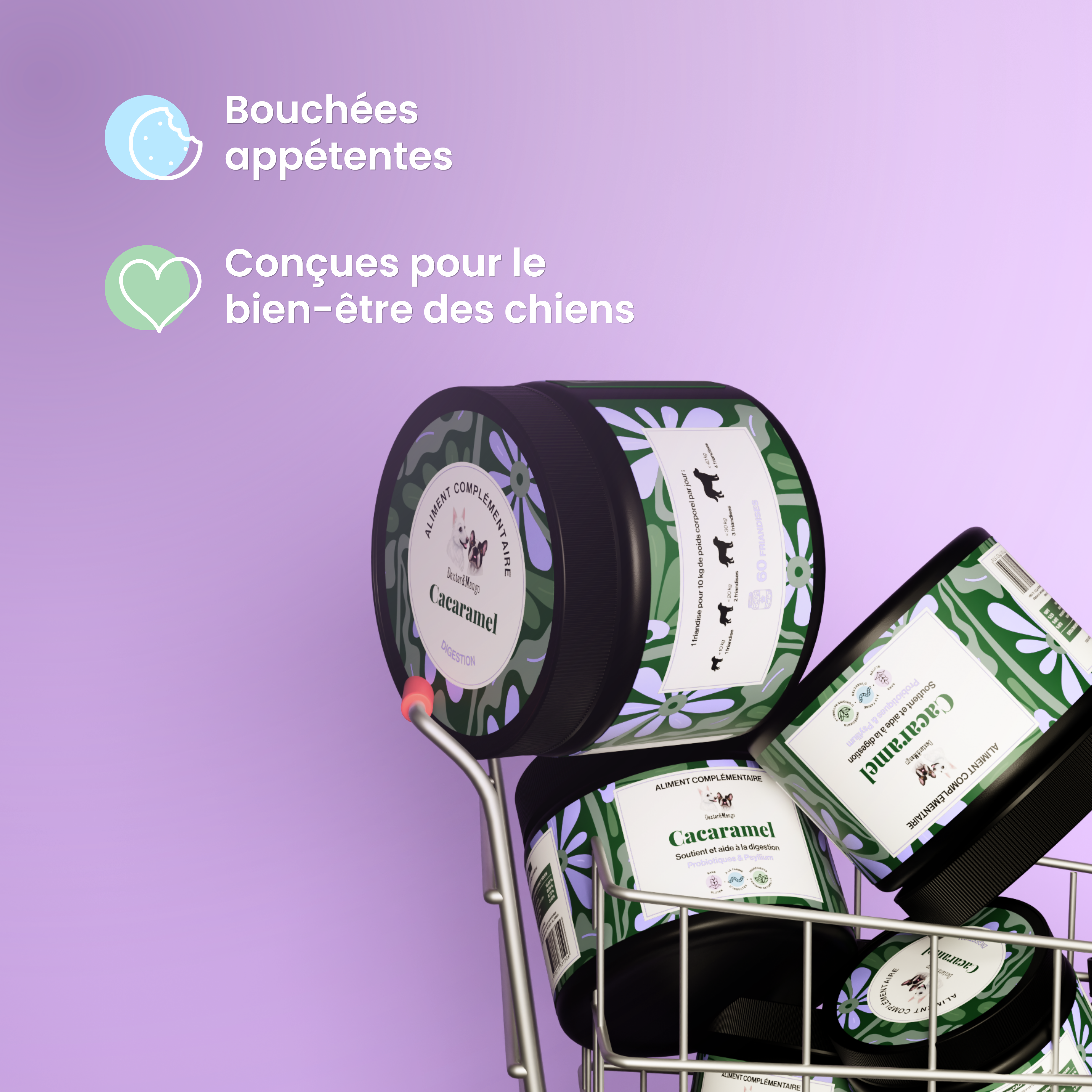dexter-mango-cacaramel-friandise-digestion-chien-insectes image 4