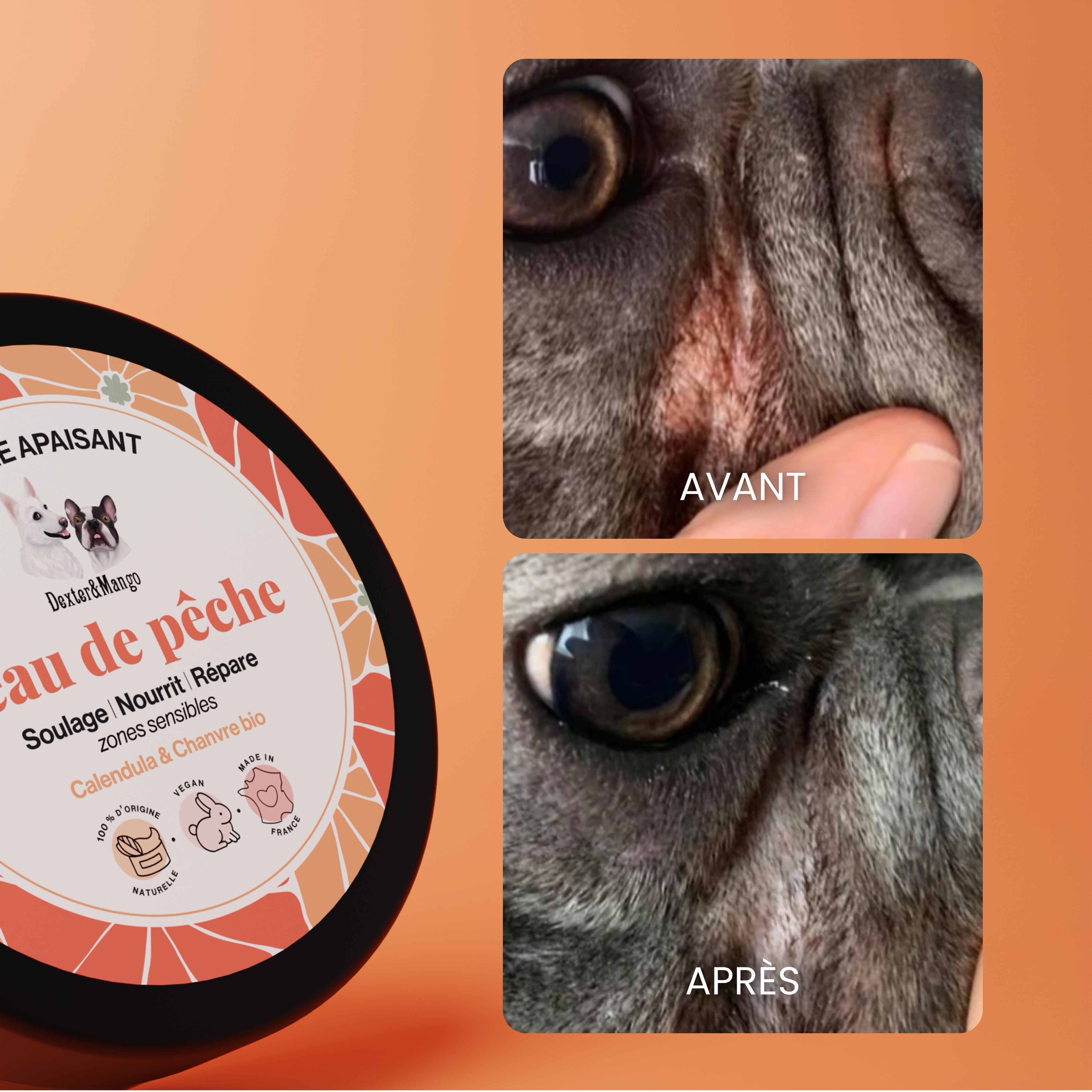 dexter-mango-peau-de-p-che-baume-chien-zones-d-licates image 7