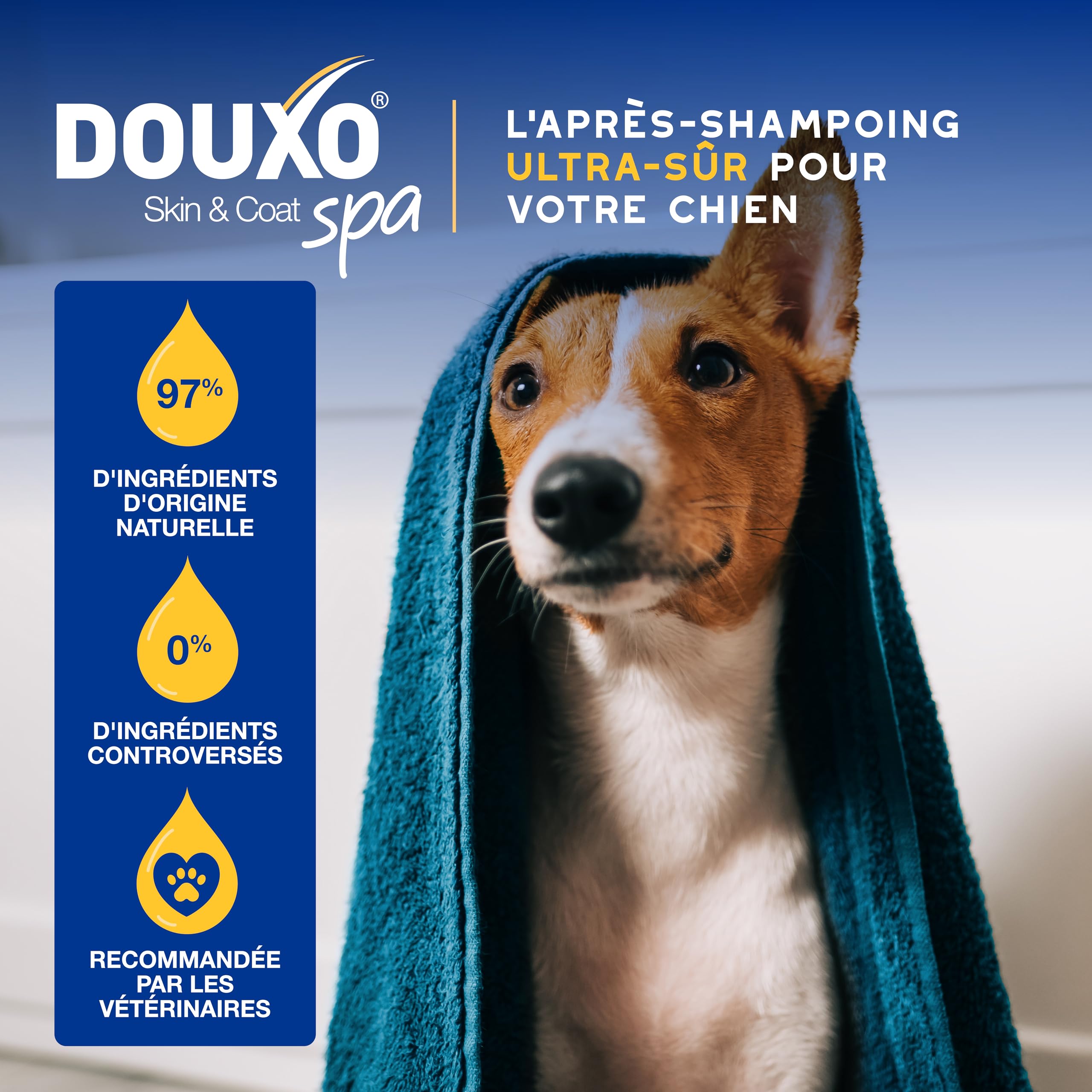 douxo-spa-skin-coat-apr-s-shampoing-chien-avoine image 4
