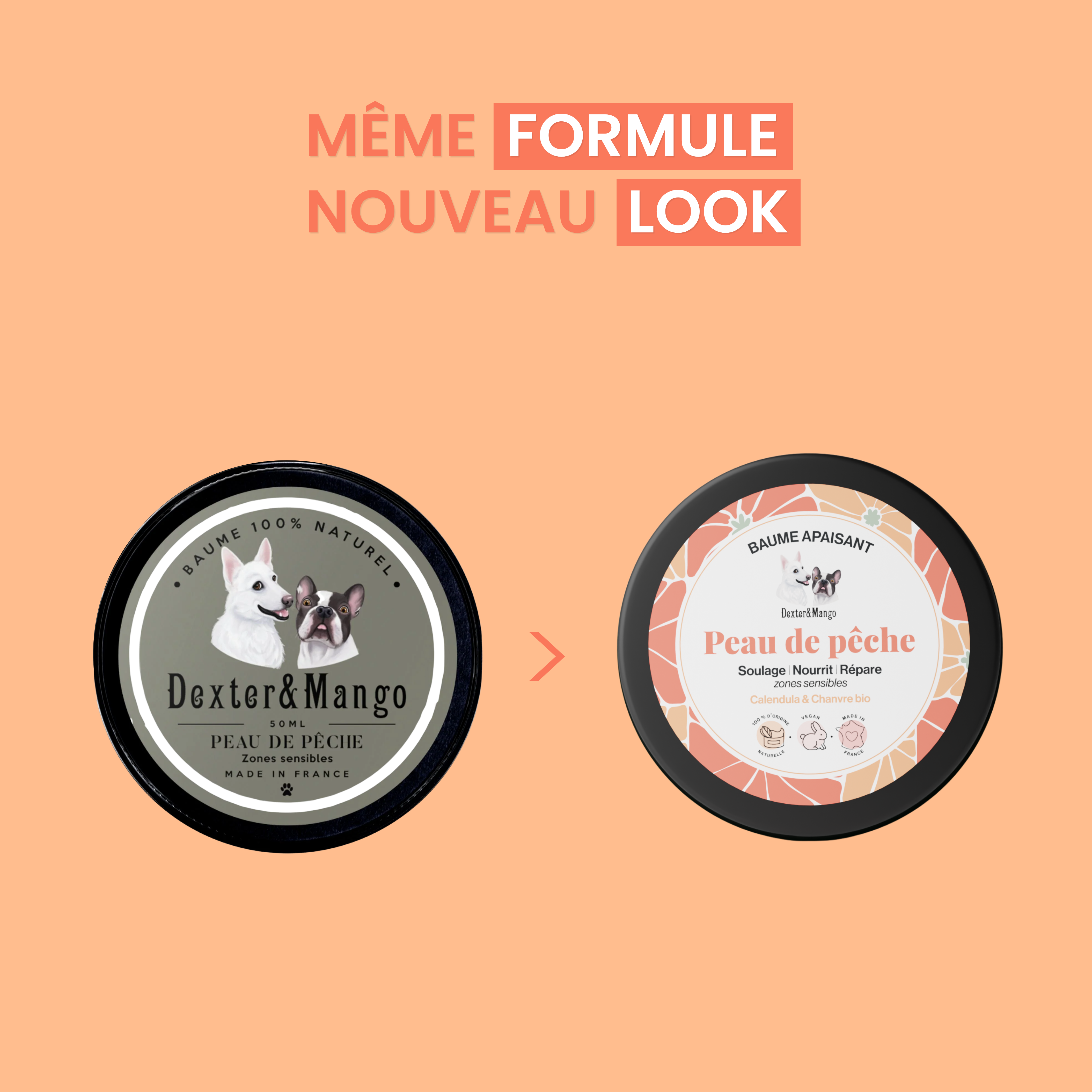 dexter-mango-peau-de-p-che-baume-chien-zones-d-licates image 8