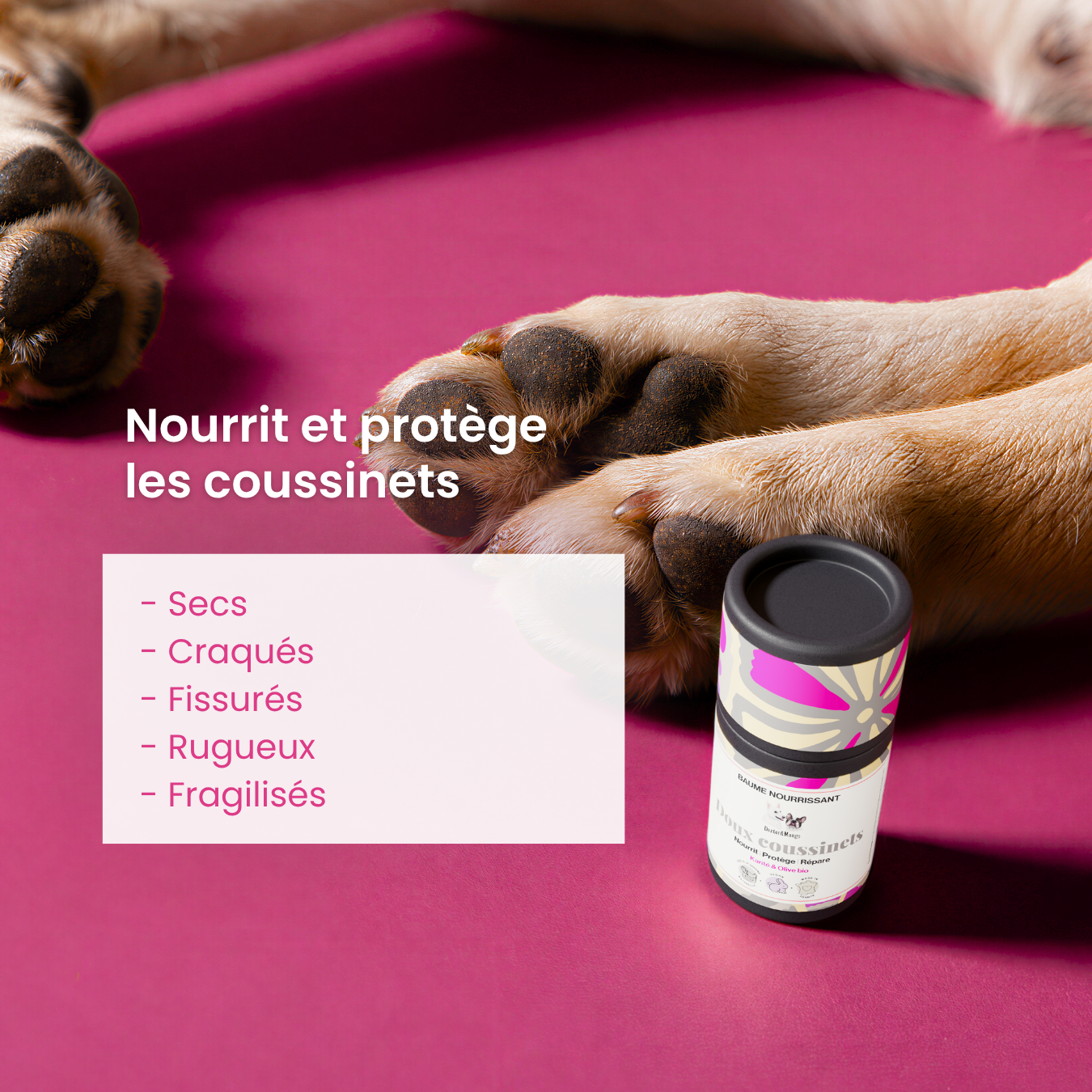 dexter-mango-doux-coussinets-baume-stick-pattes-s-ches image 2