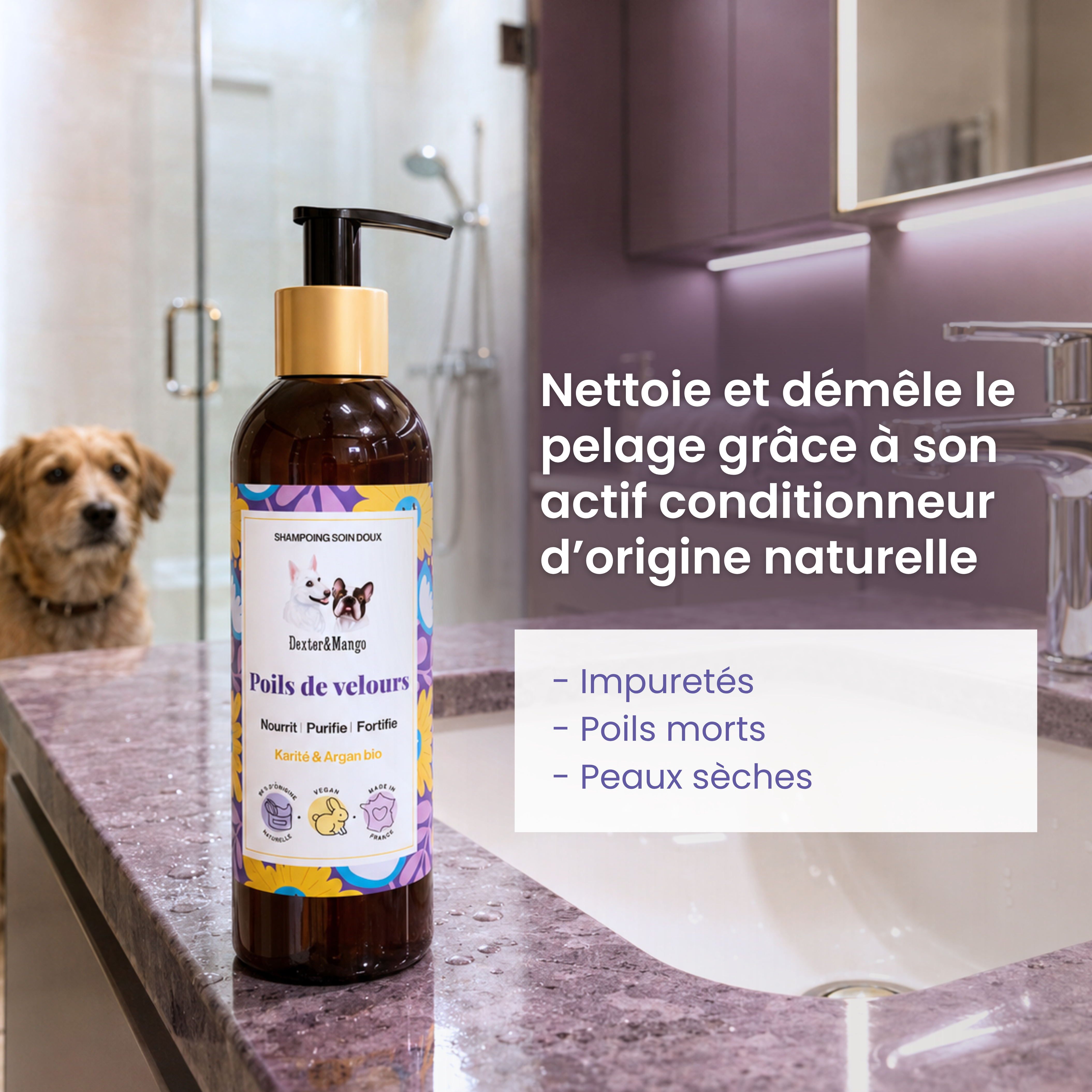 dexter-mango-poils-de-velours-shampoing-chien-naturel image 2