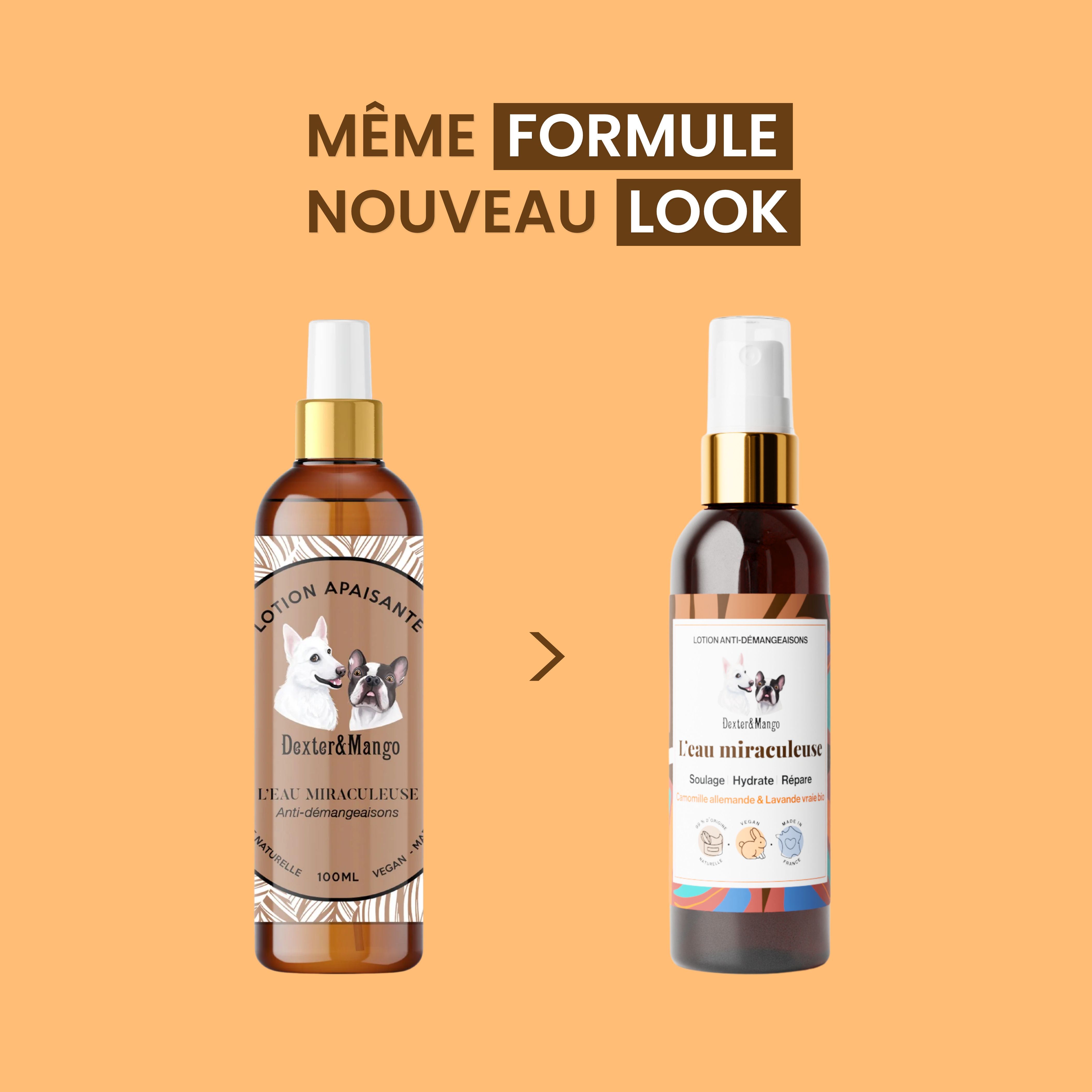 dexter-mango-eau-miraculeuse-lotion-confort-cutan-chien image 7