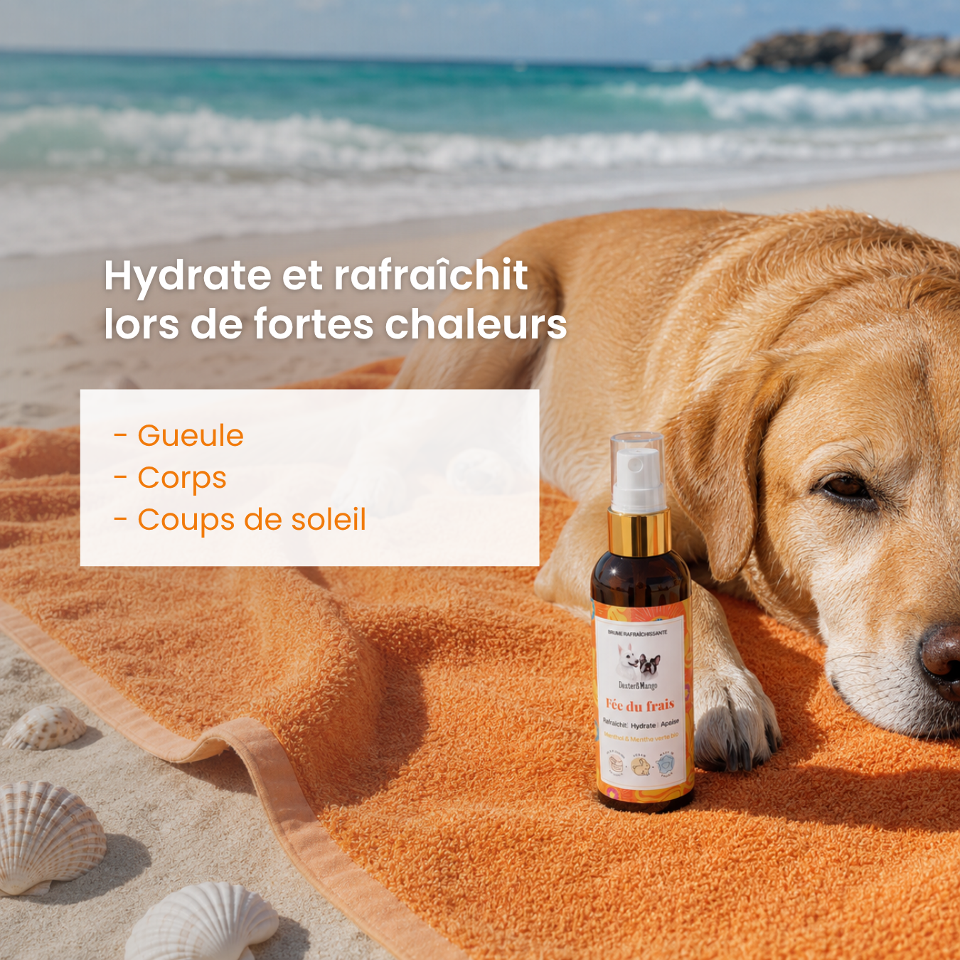 dexter-mango-f-e-du-frais-brume-rafra-chissante-chien image 2