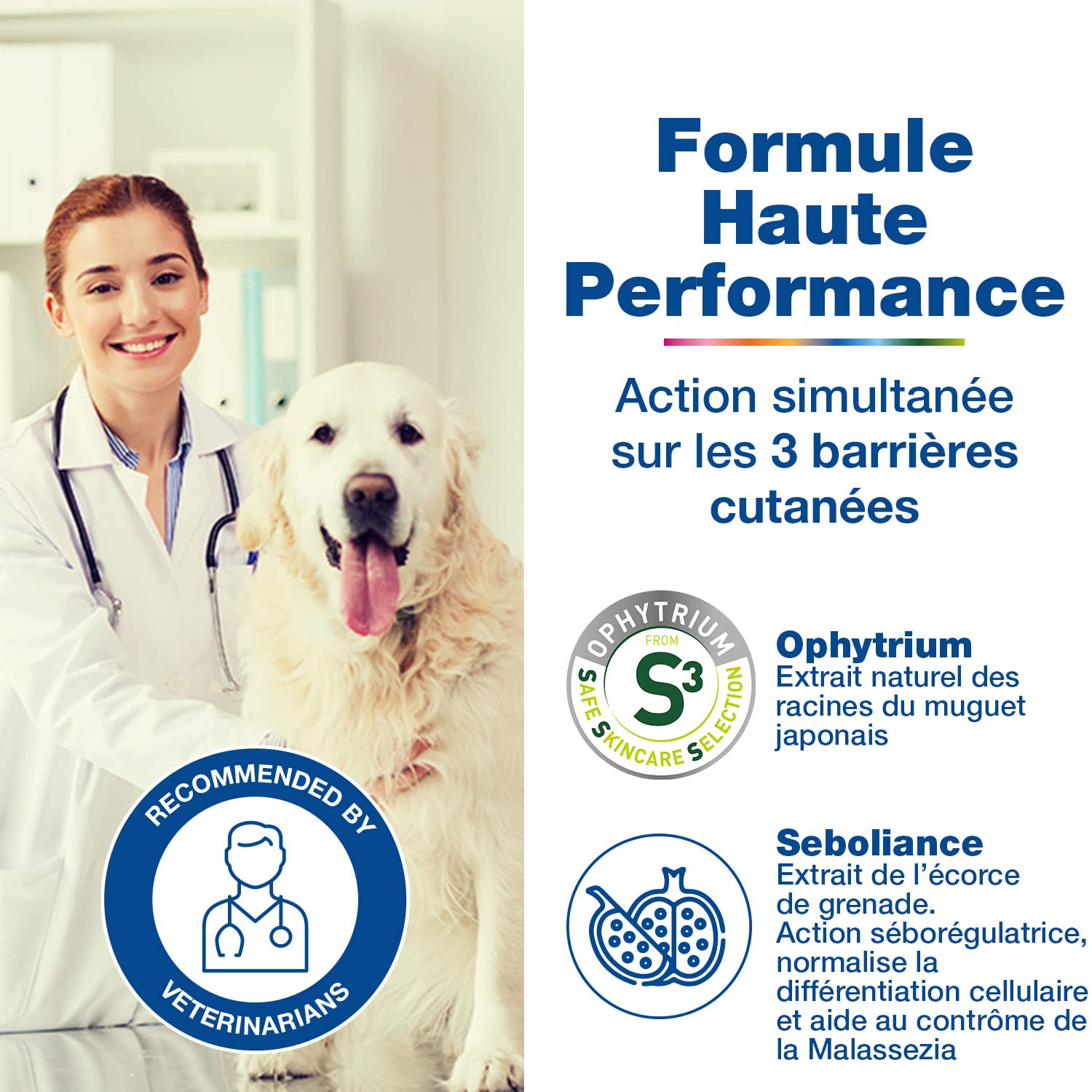 douxo-s3-seb-mousse-chien-sans-rin-age-anti-odeur-150-ml image 4