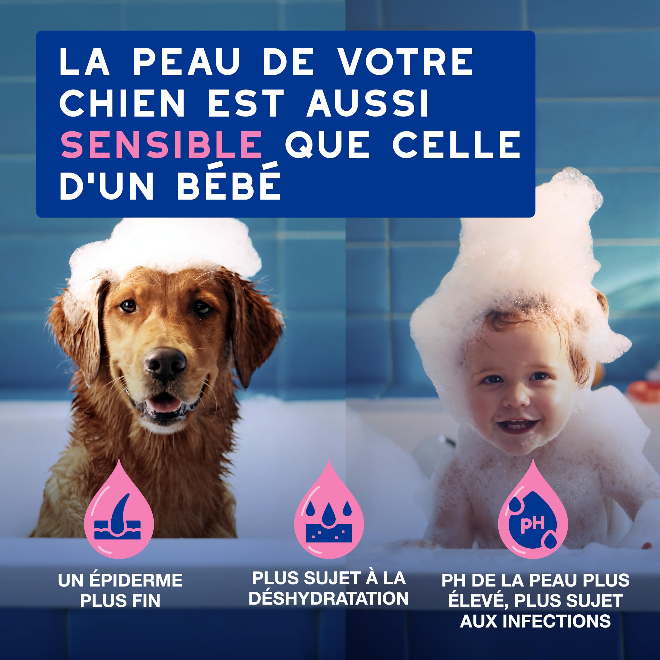 douxo-skin-coat-spa-shampoing-chien-anti-d-mangeaisons-fumeterre image 3