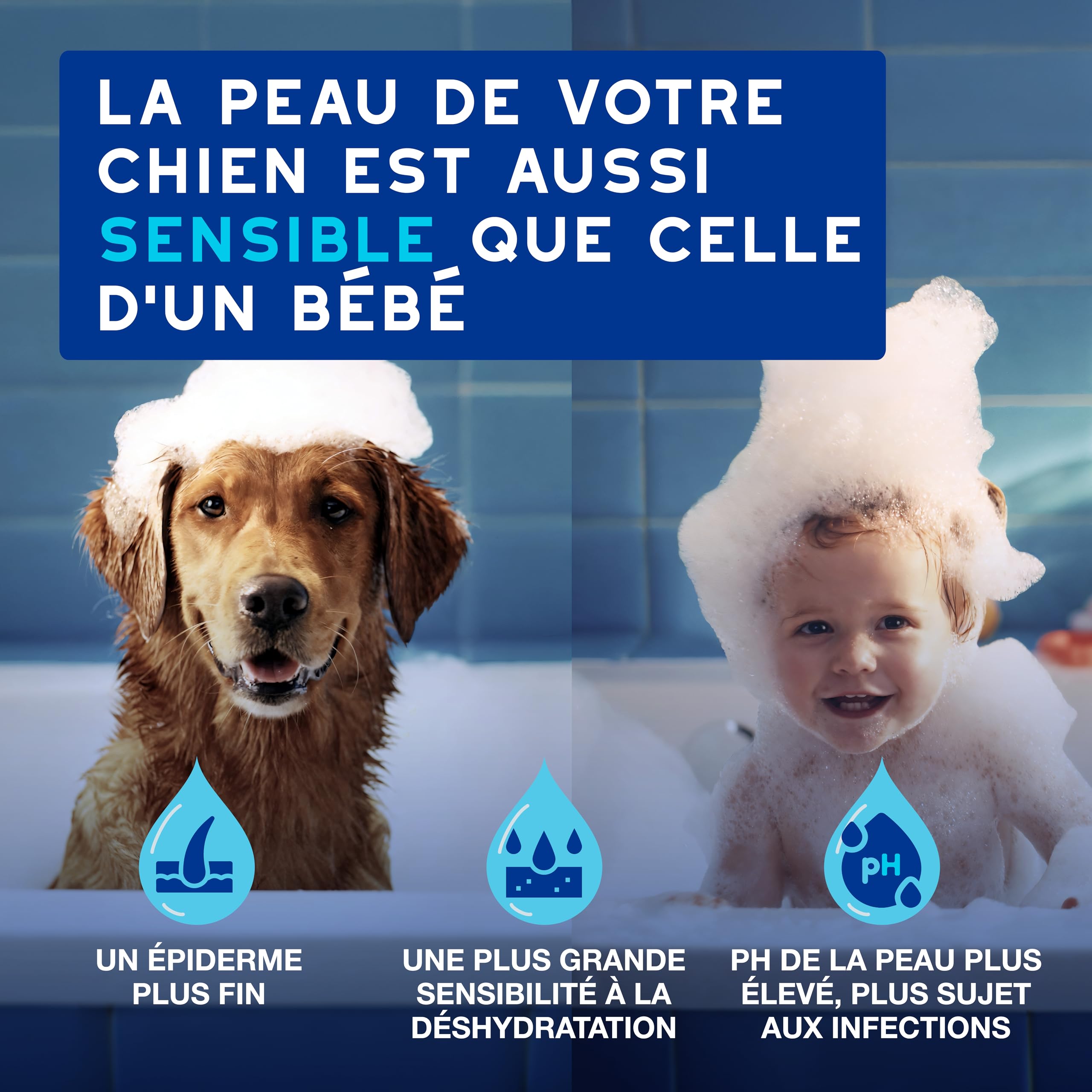 douxo-spa-skin-coat-mousse-sans-rin-age-chien image 3