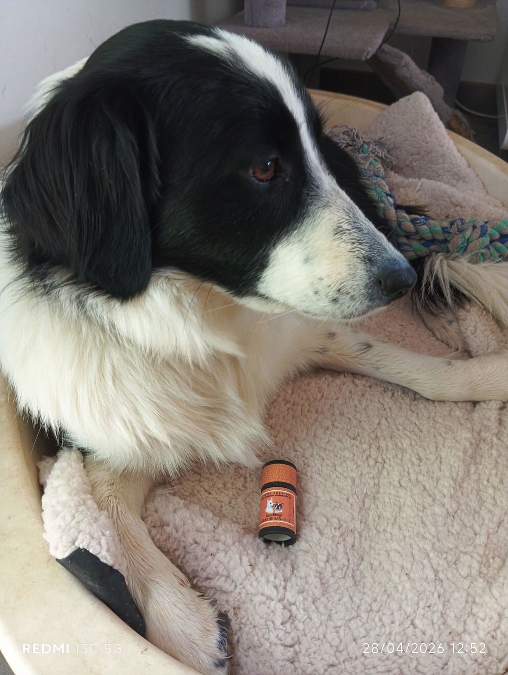 Truffe protégée
