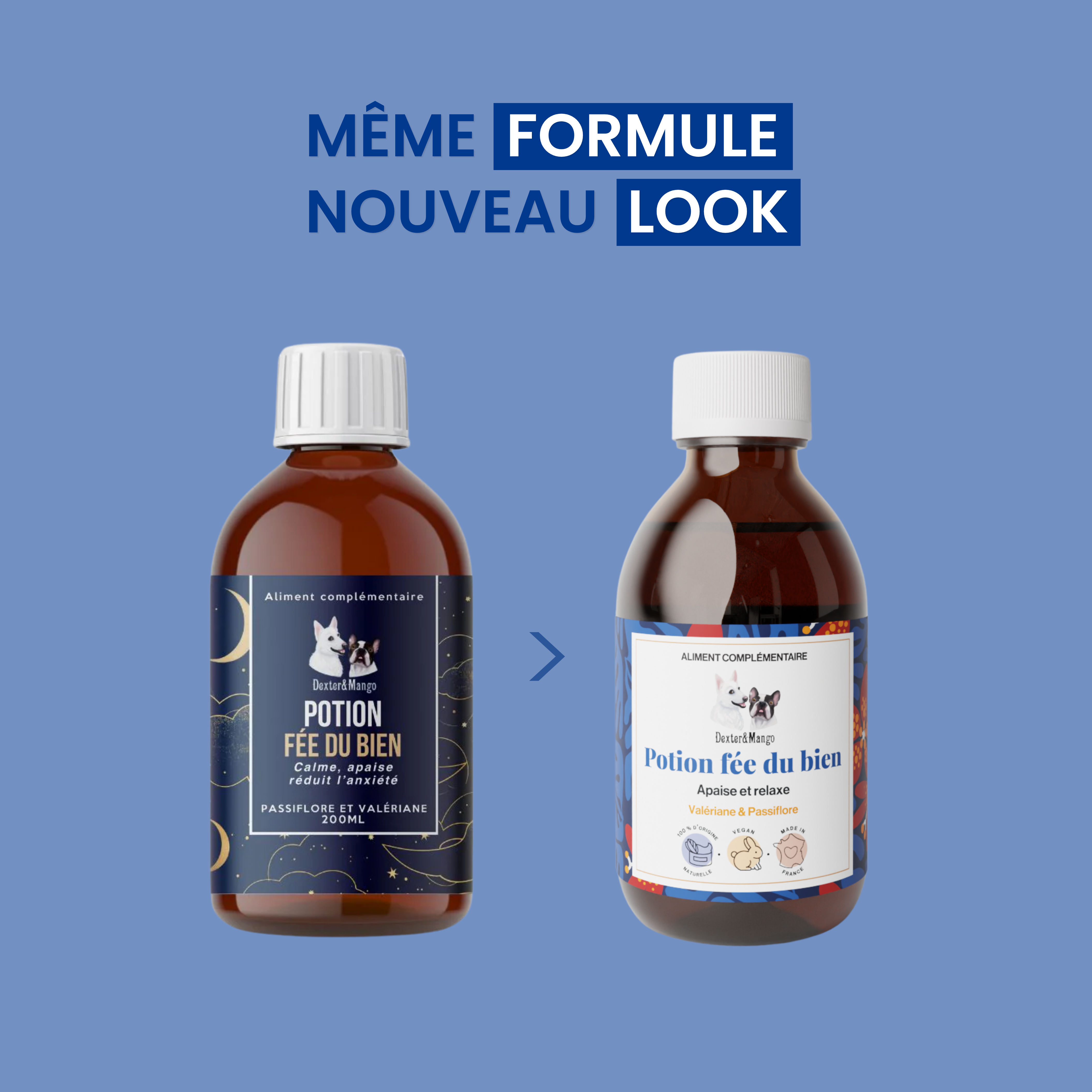 dexter-mango-potion-f-e-du-bien-compl-ment-stress-chien image 6