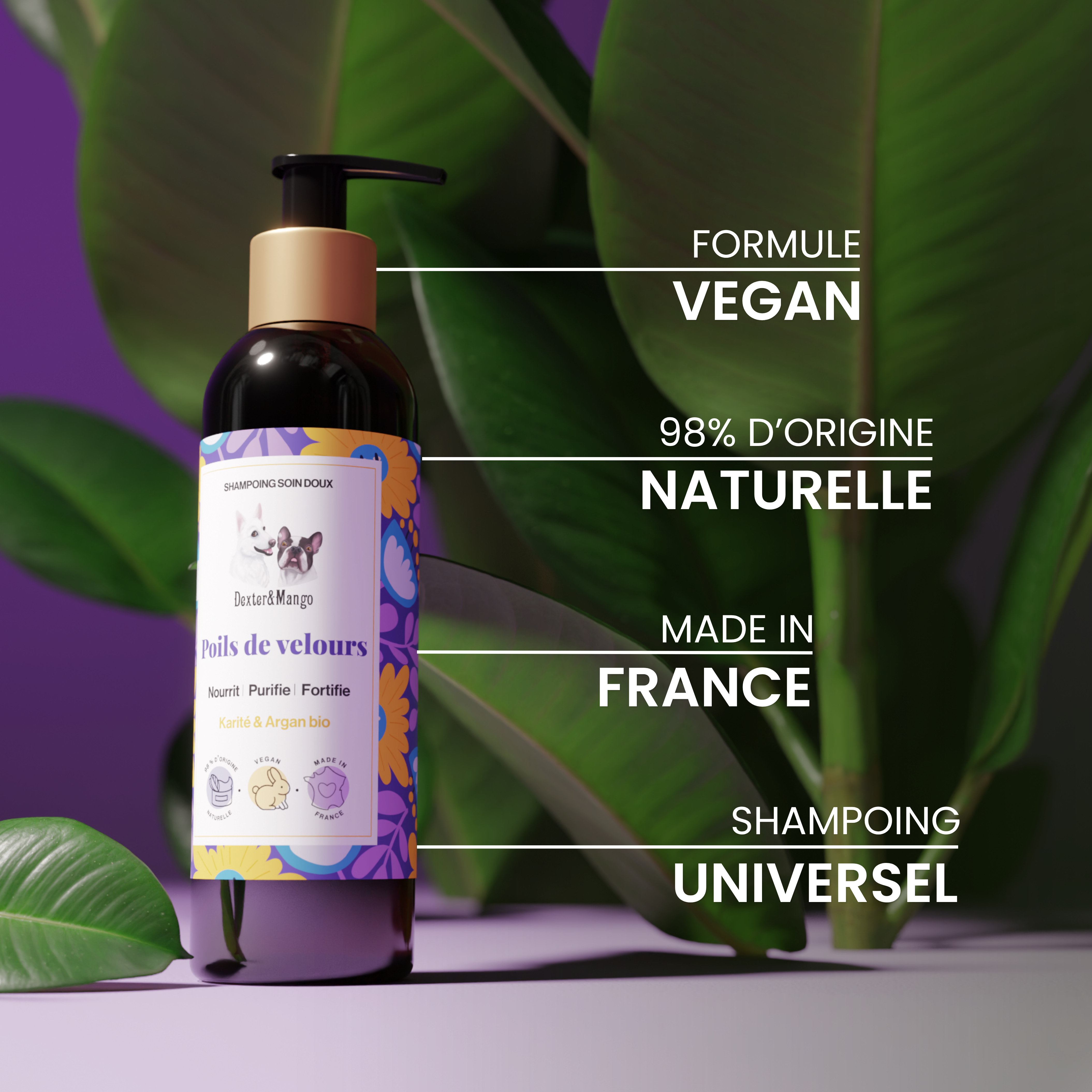 dexter-mango-poils-de-velours-shampoing-chien-naturel image 5