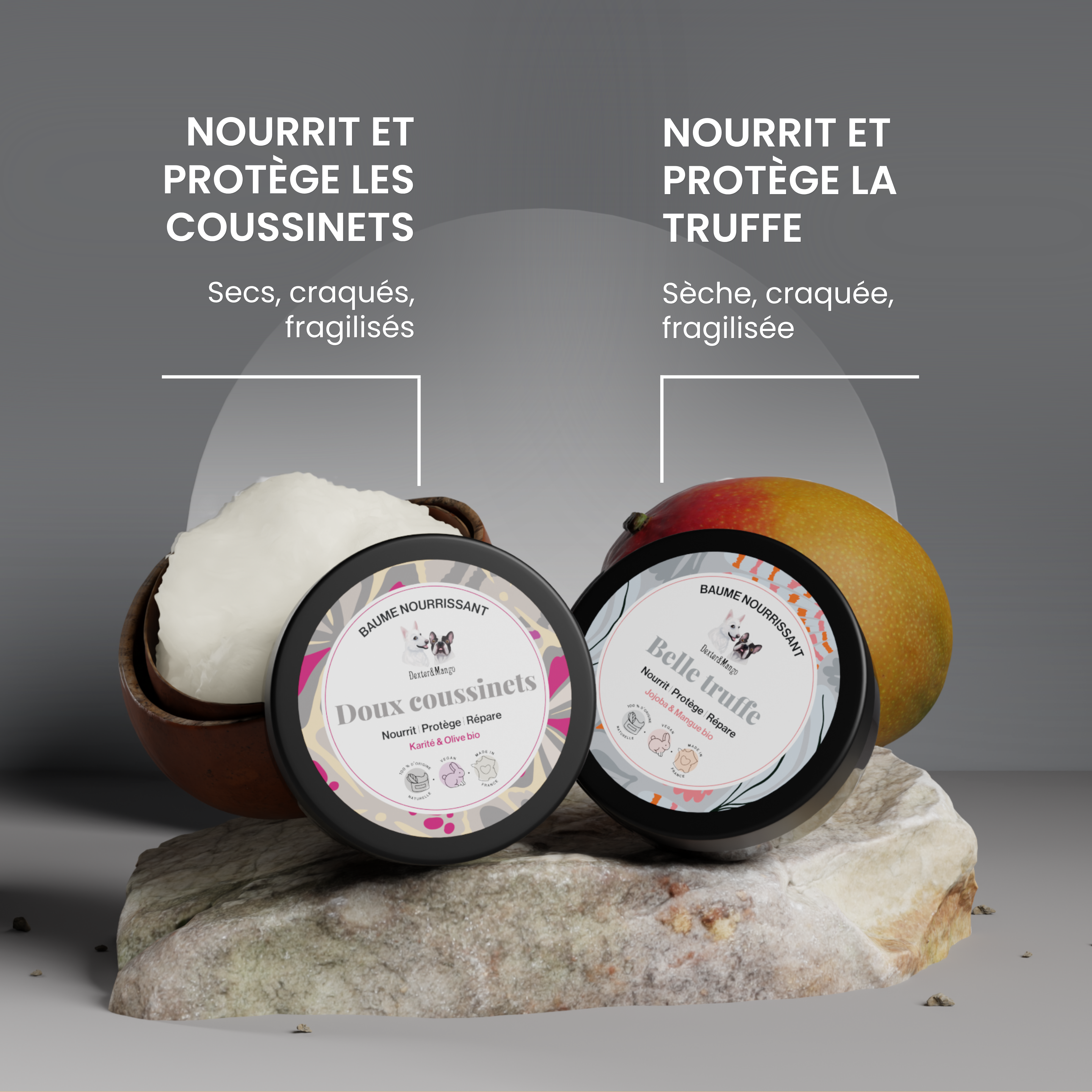 dexter-mango-duo-baumes-doux-coussinets-belle-truffe-baume-chien image 2